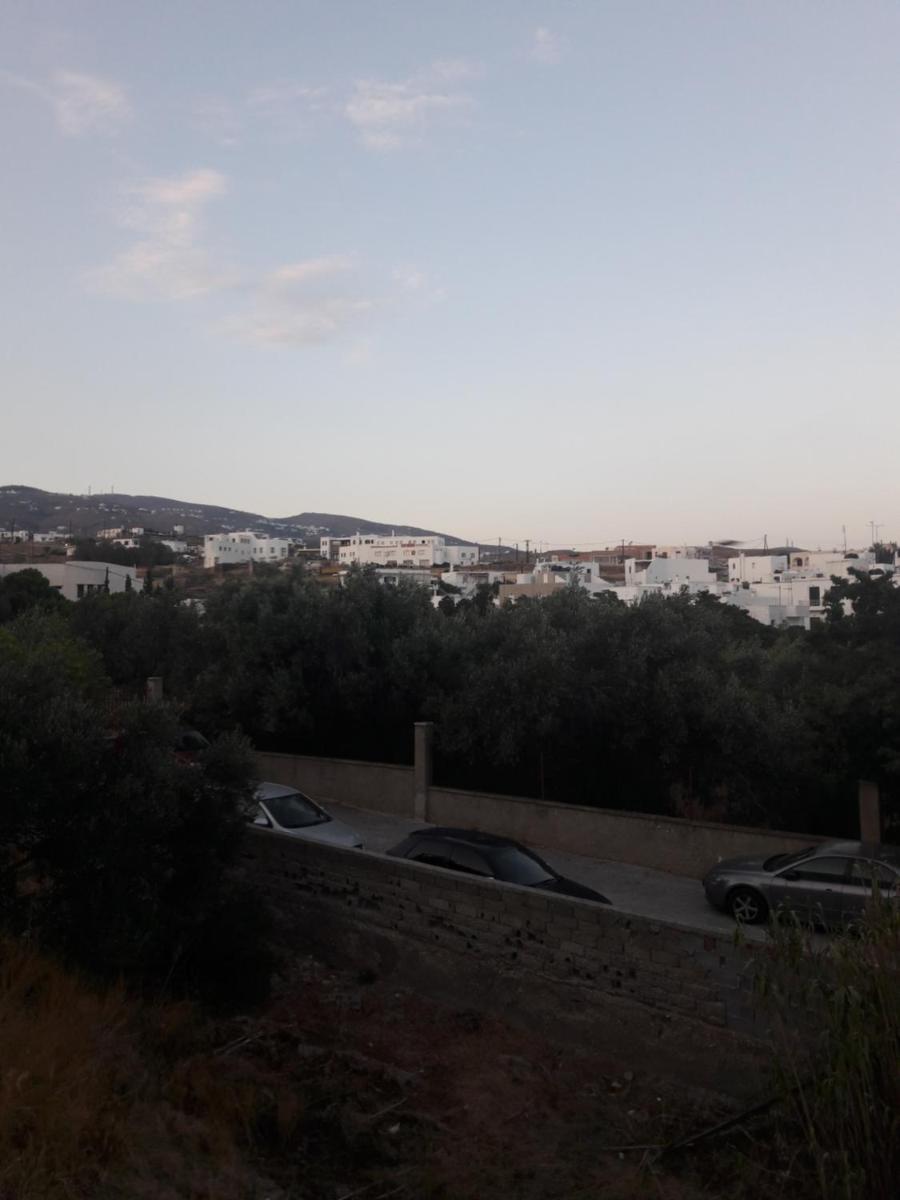 Photo 26
