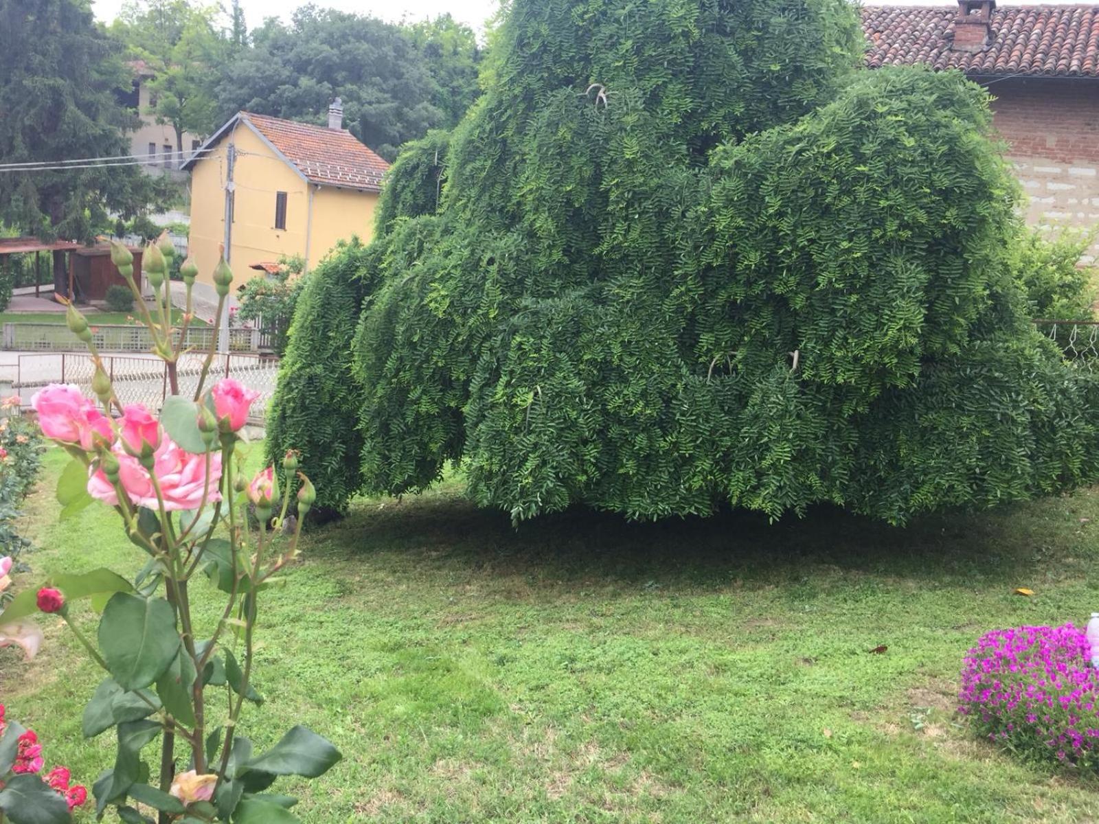 Photo 28