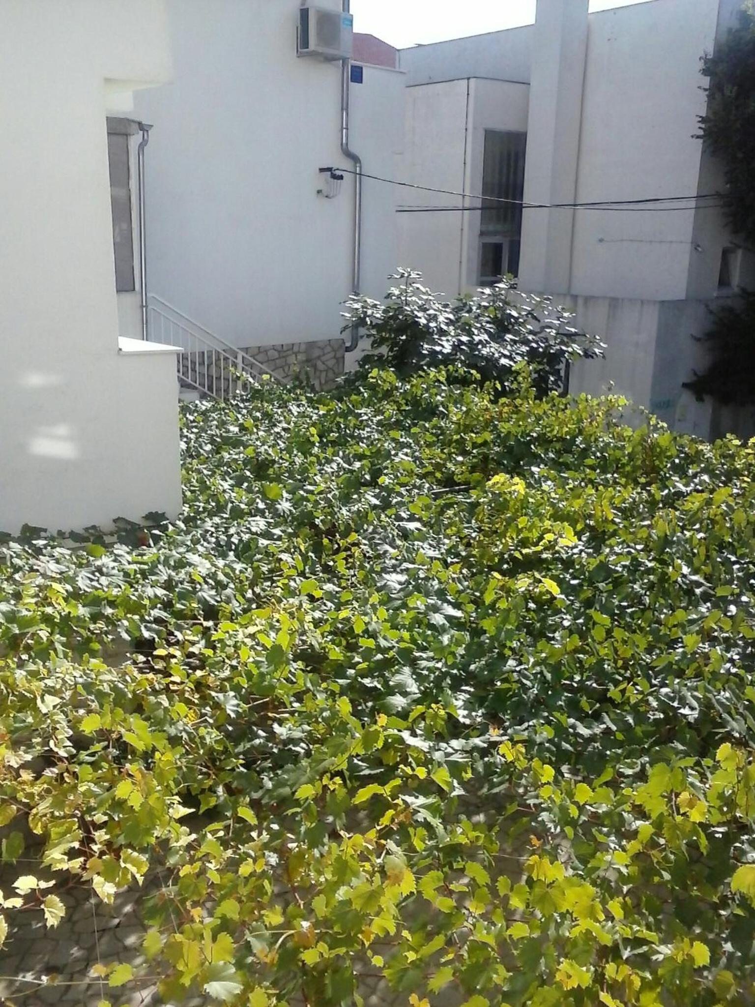 Apartmani Marić view 4