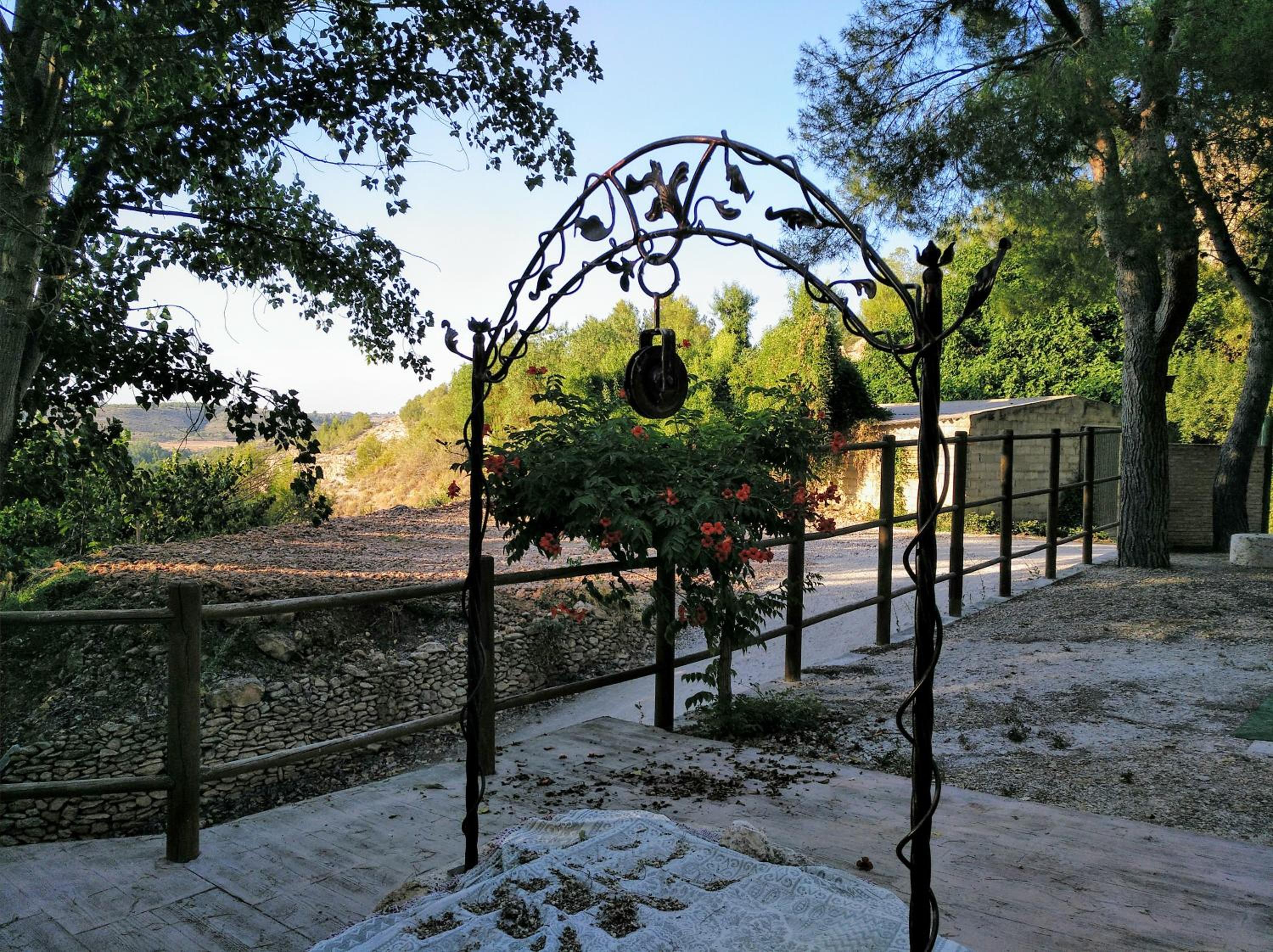 Photo 23