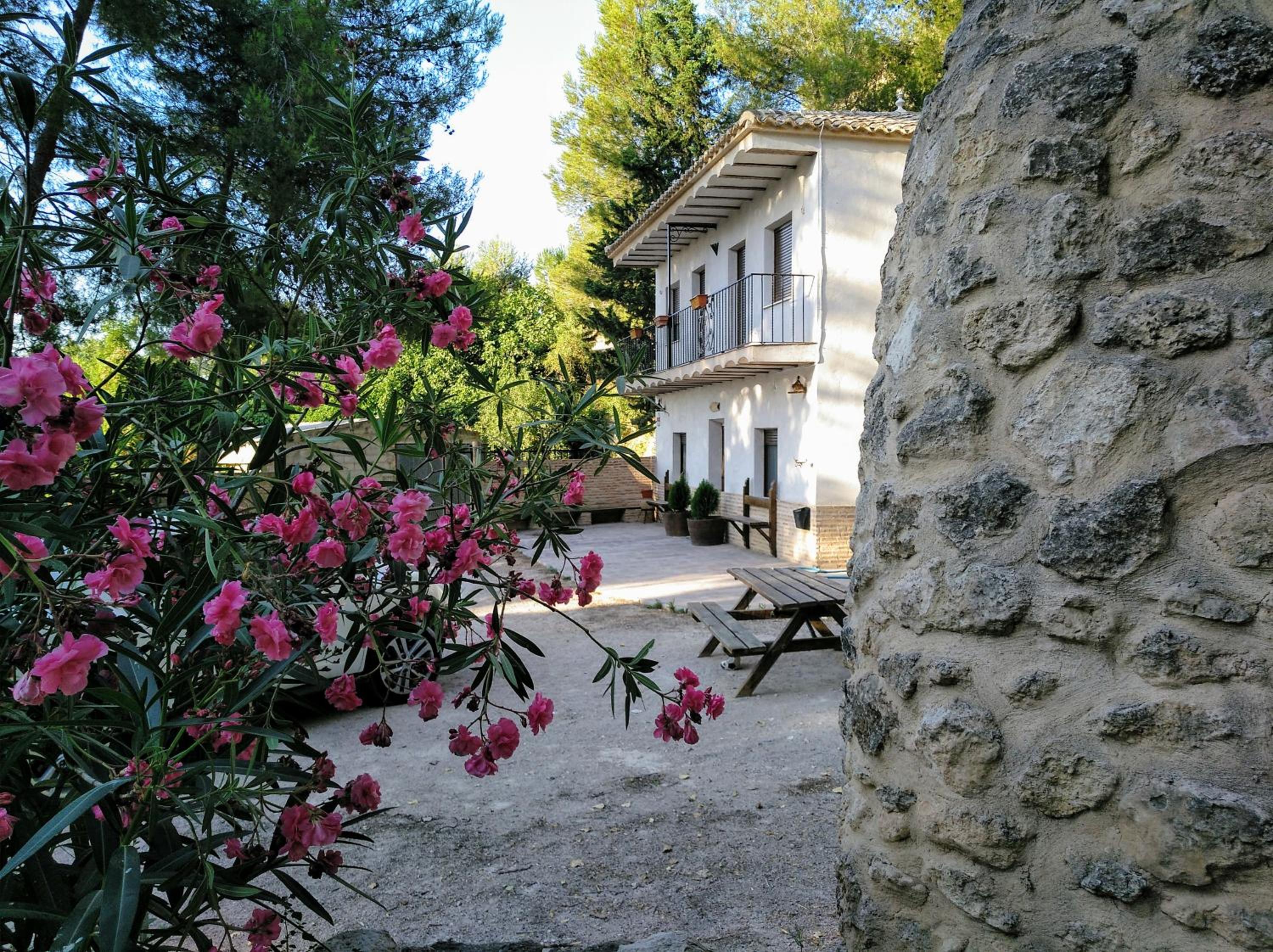 Photo 8