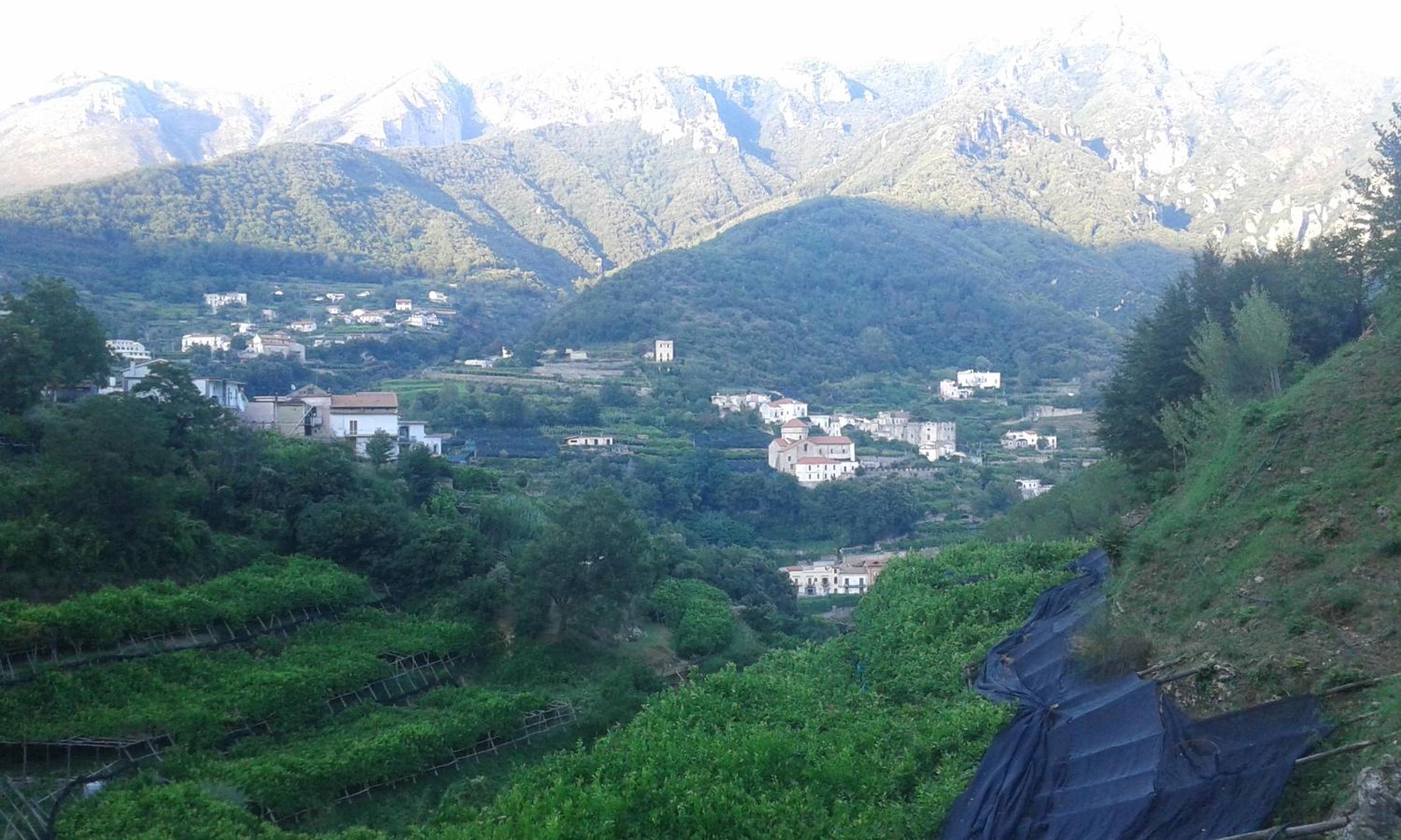 other