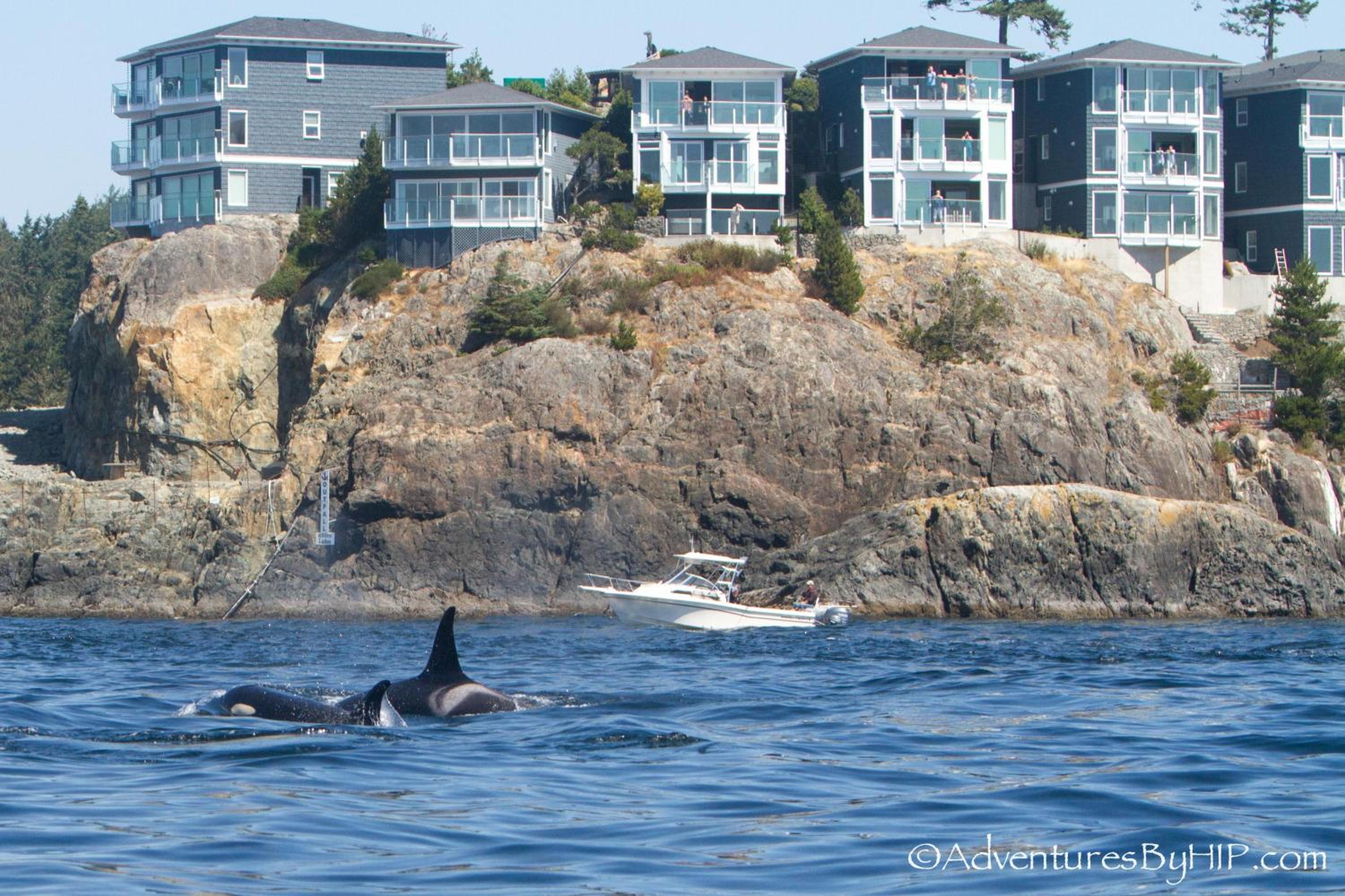 Sooke Vacations - SookePoint Ocean Cottage Resort - Property Image 4