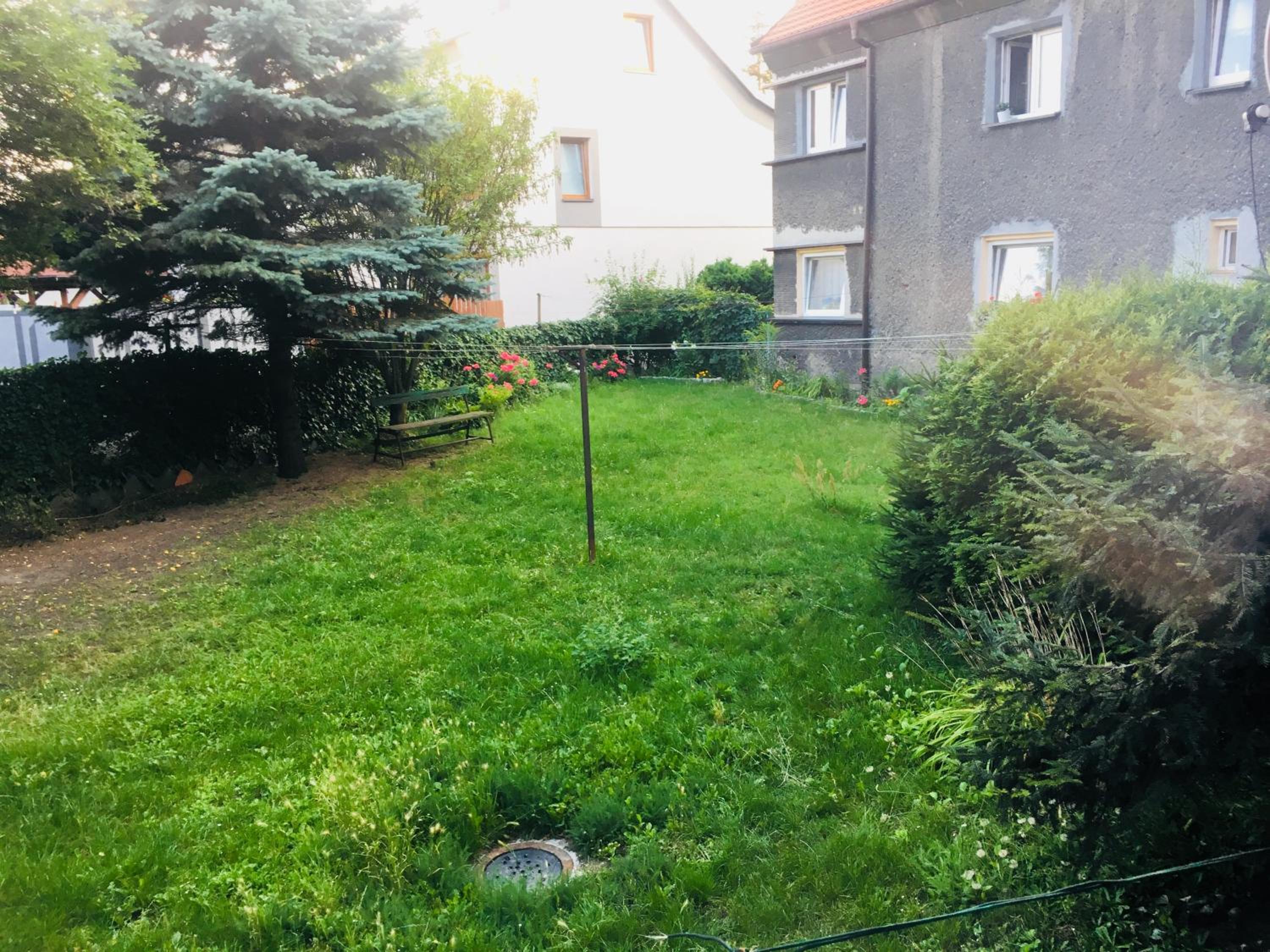 Photo 44