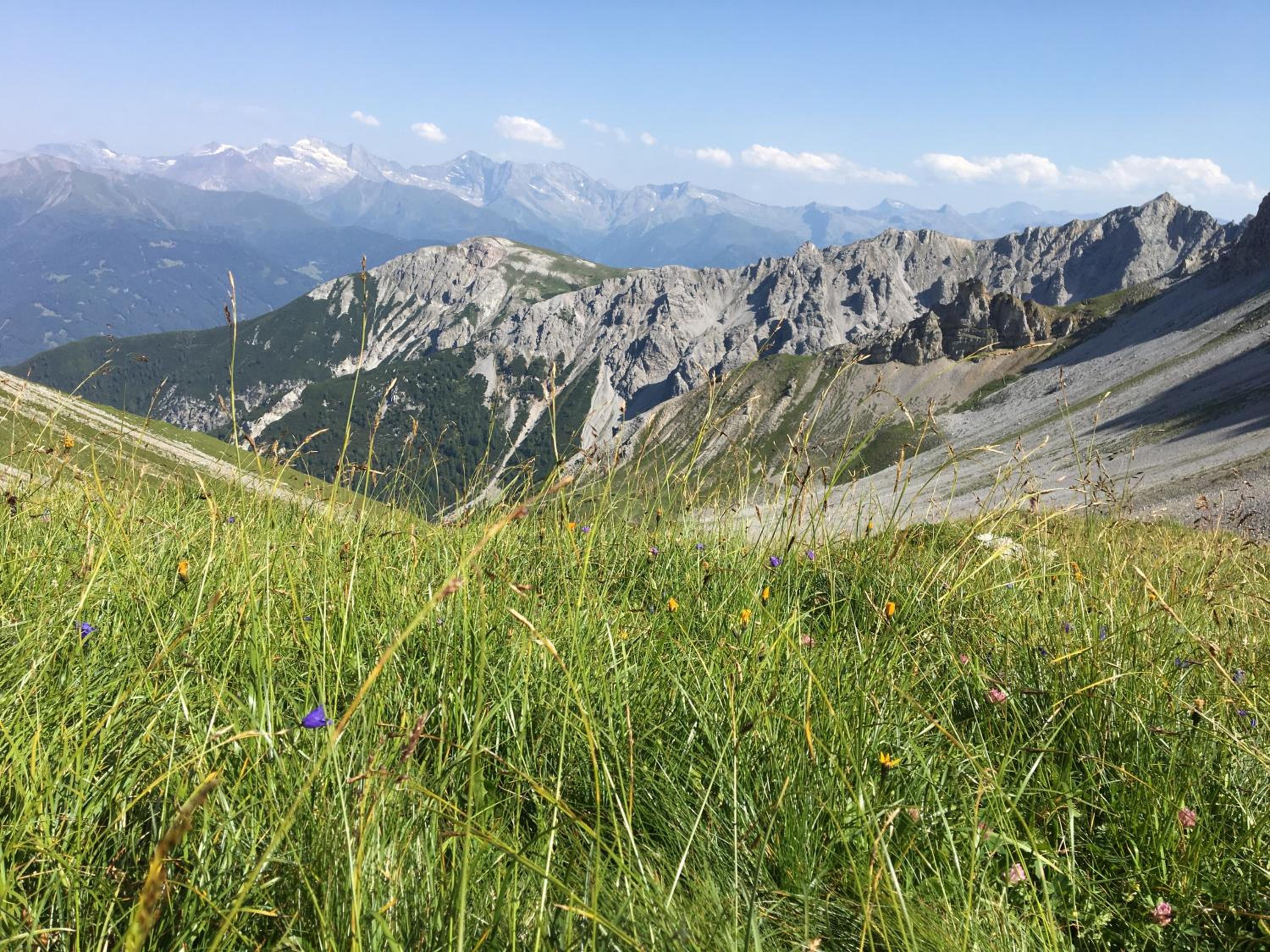 Waldrast Natur Resort