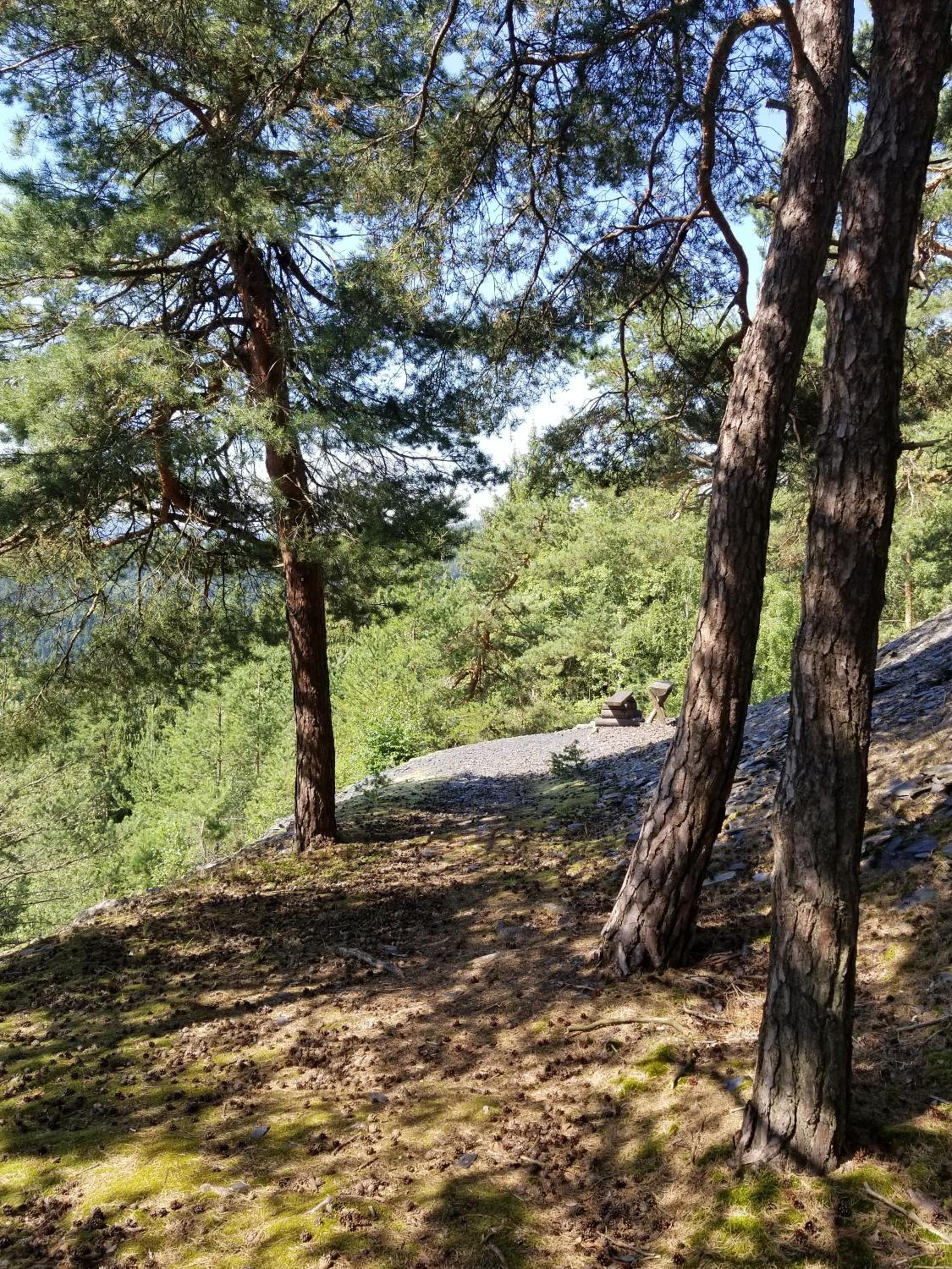 Photo 21