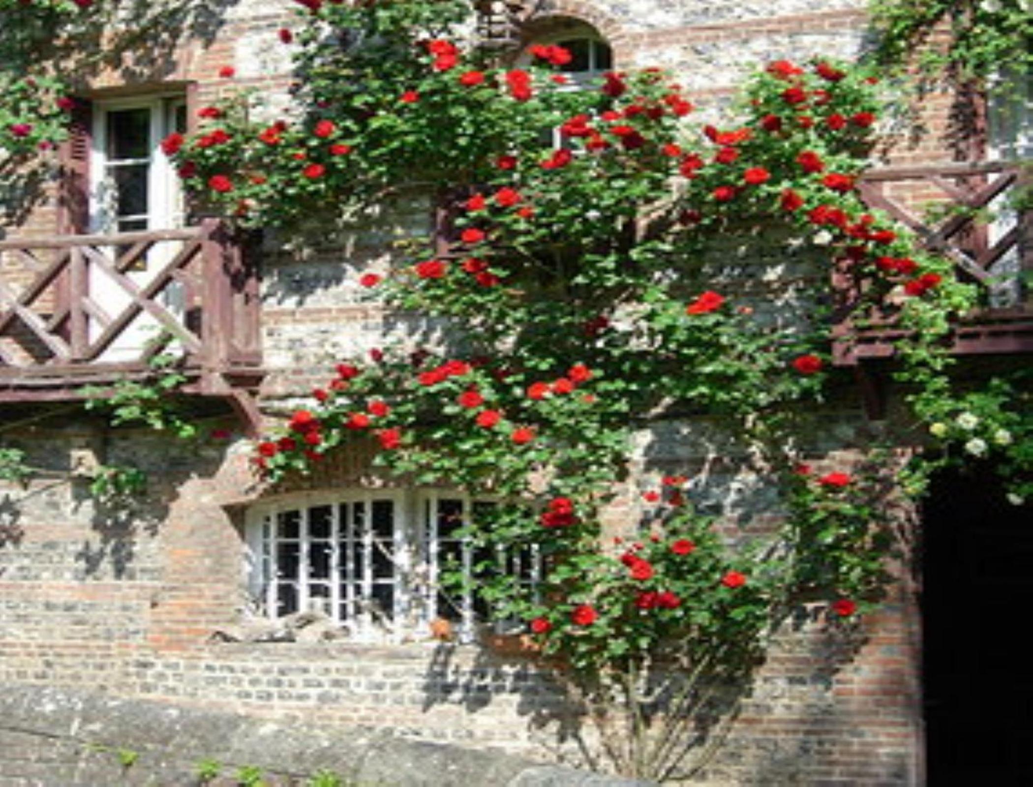 Le Moulin Fleuri du Petit Appeville
