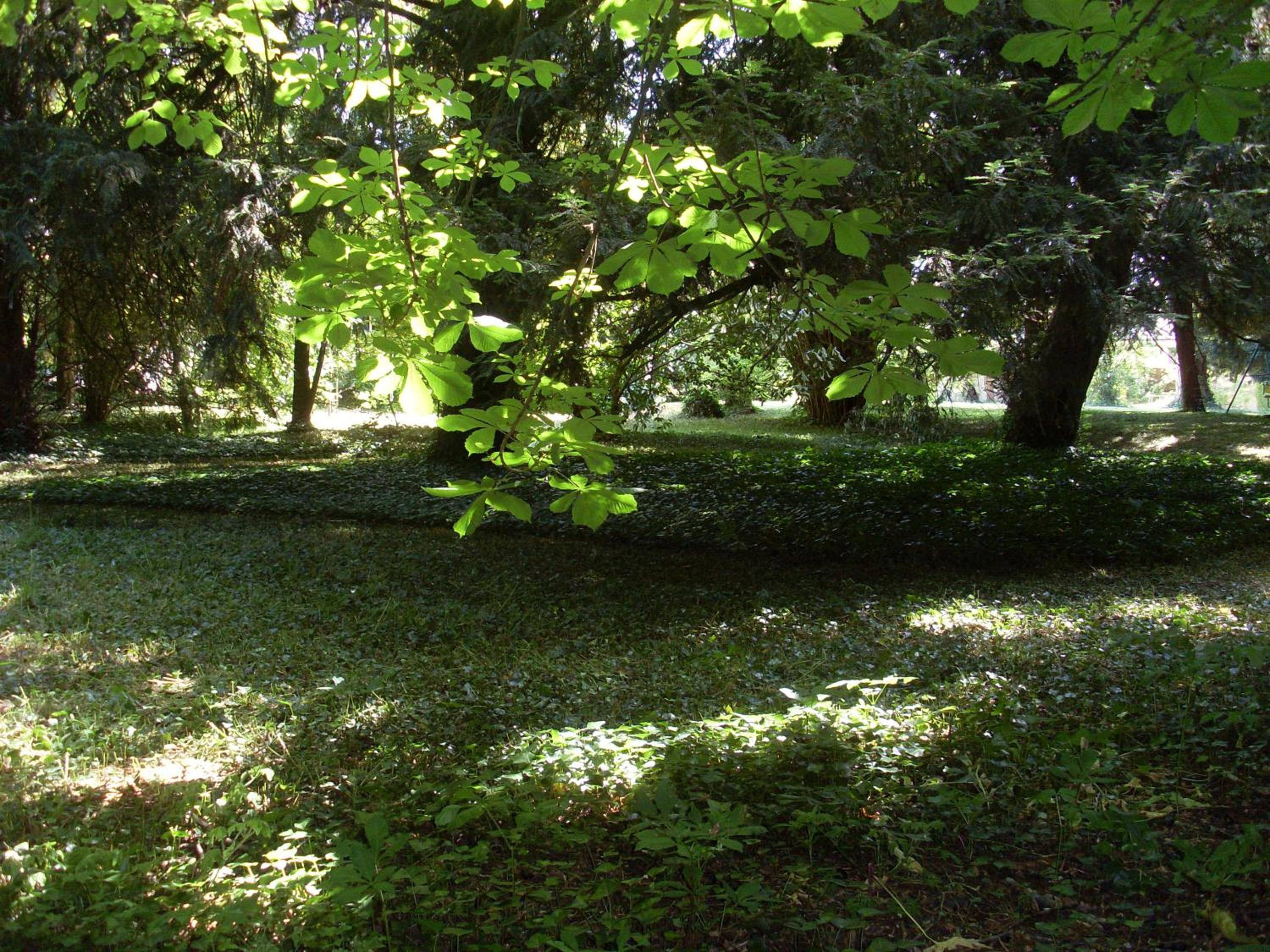 Photo 31