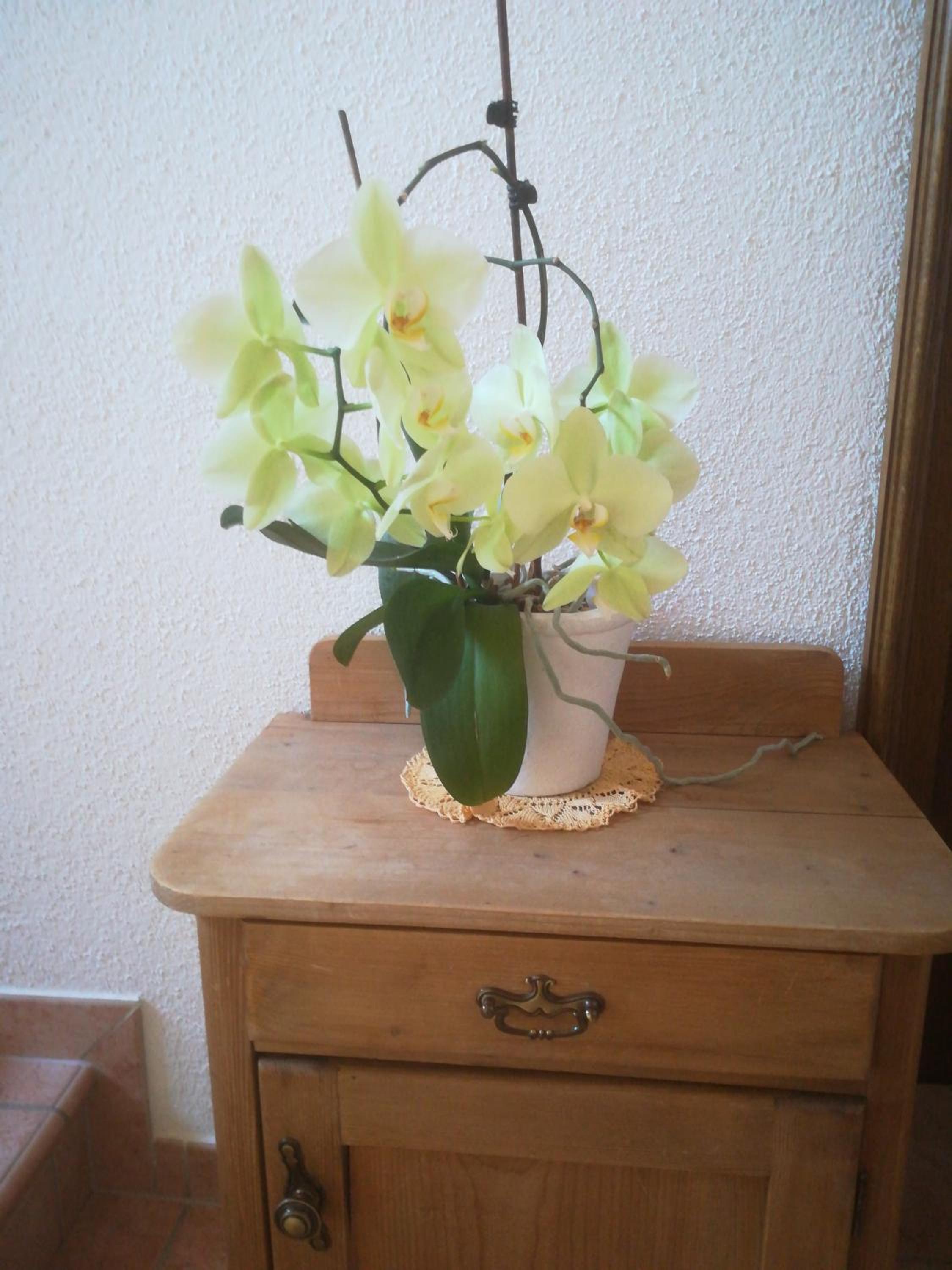 Photo 33