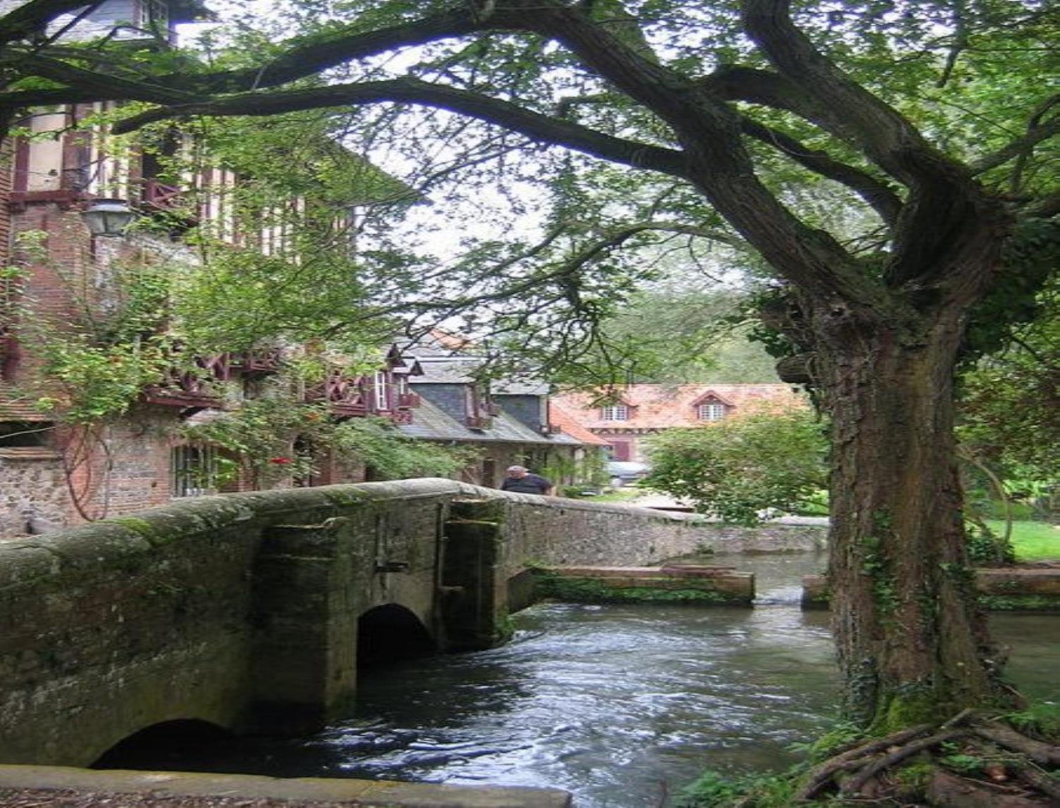 Le Moulin Fleuri du Petit Appeville