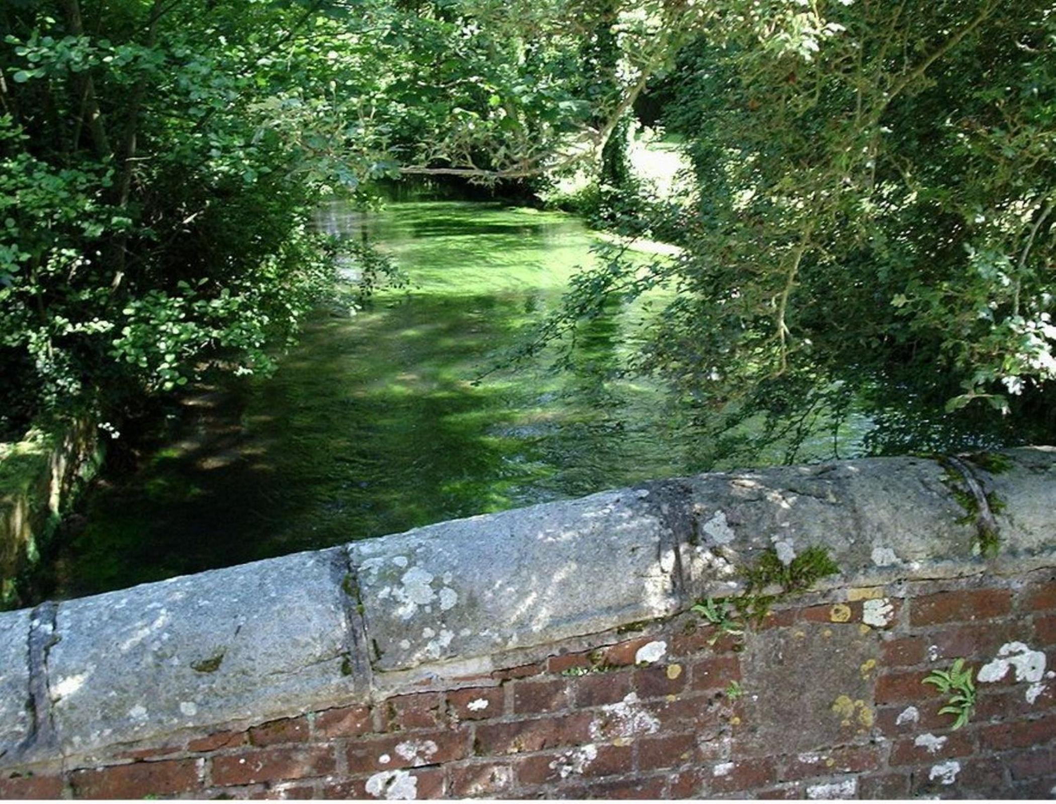 Le Moulin Fleuri du Petit Appeville