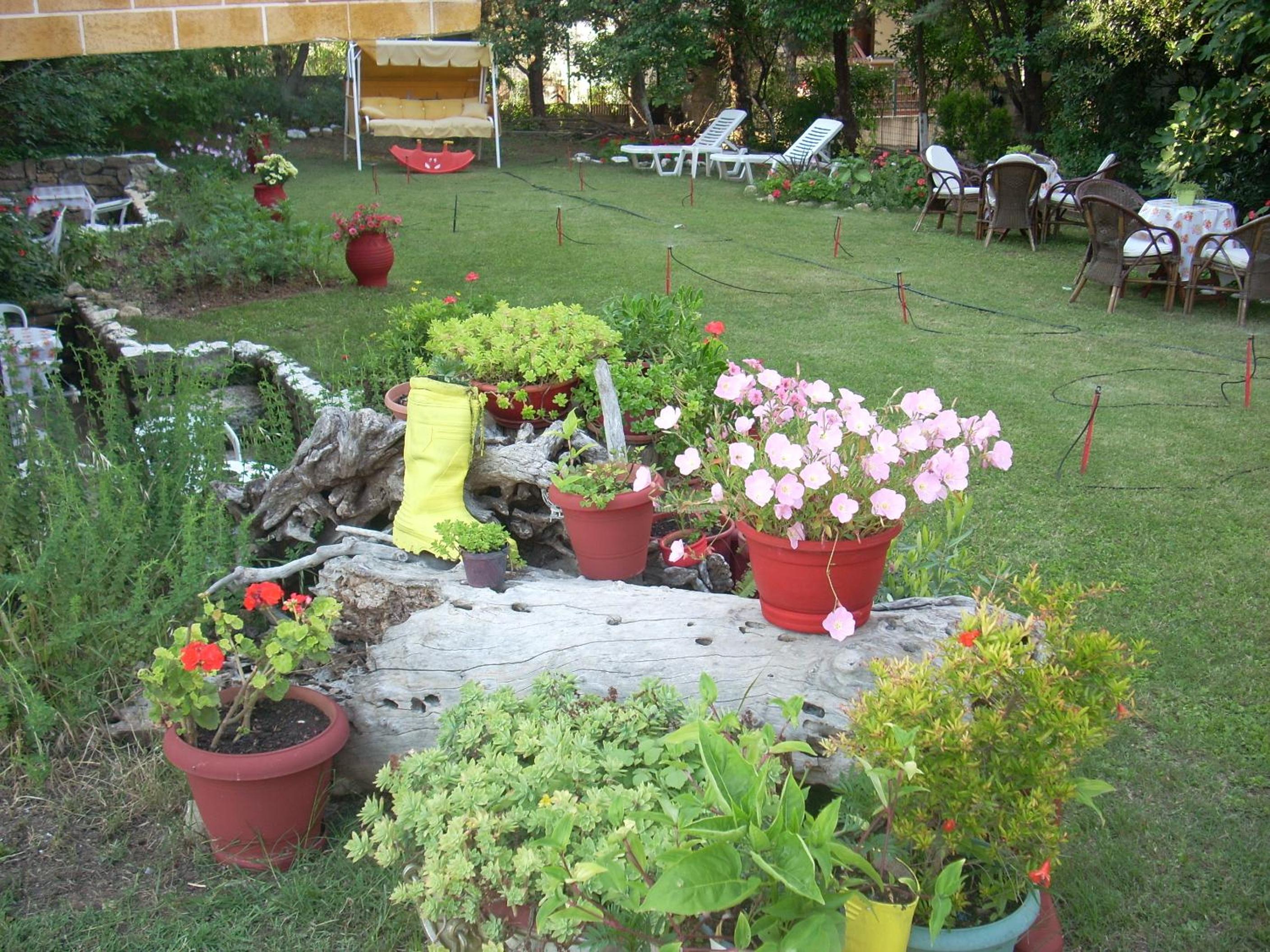 Photo 44
