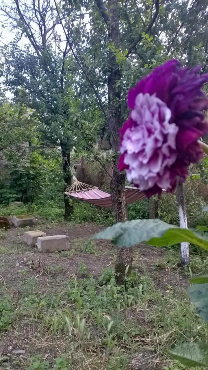 Ojakh