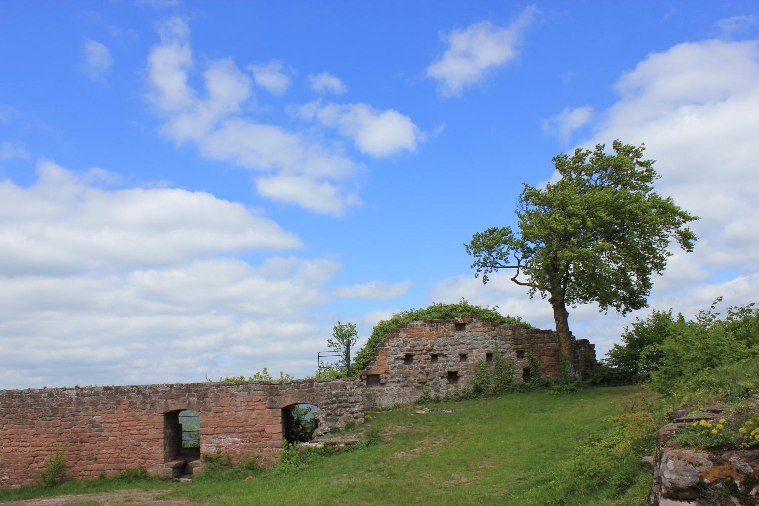 Photo 20