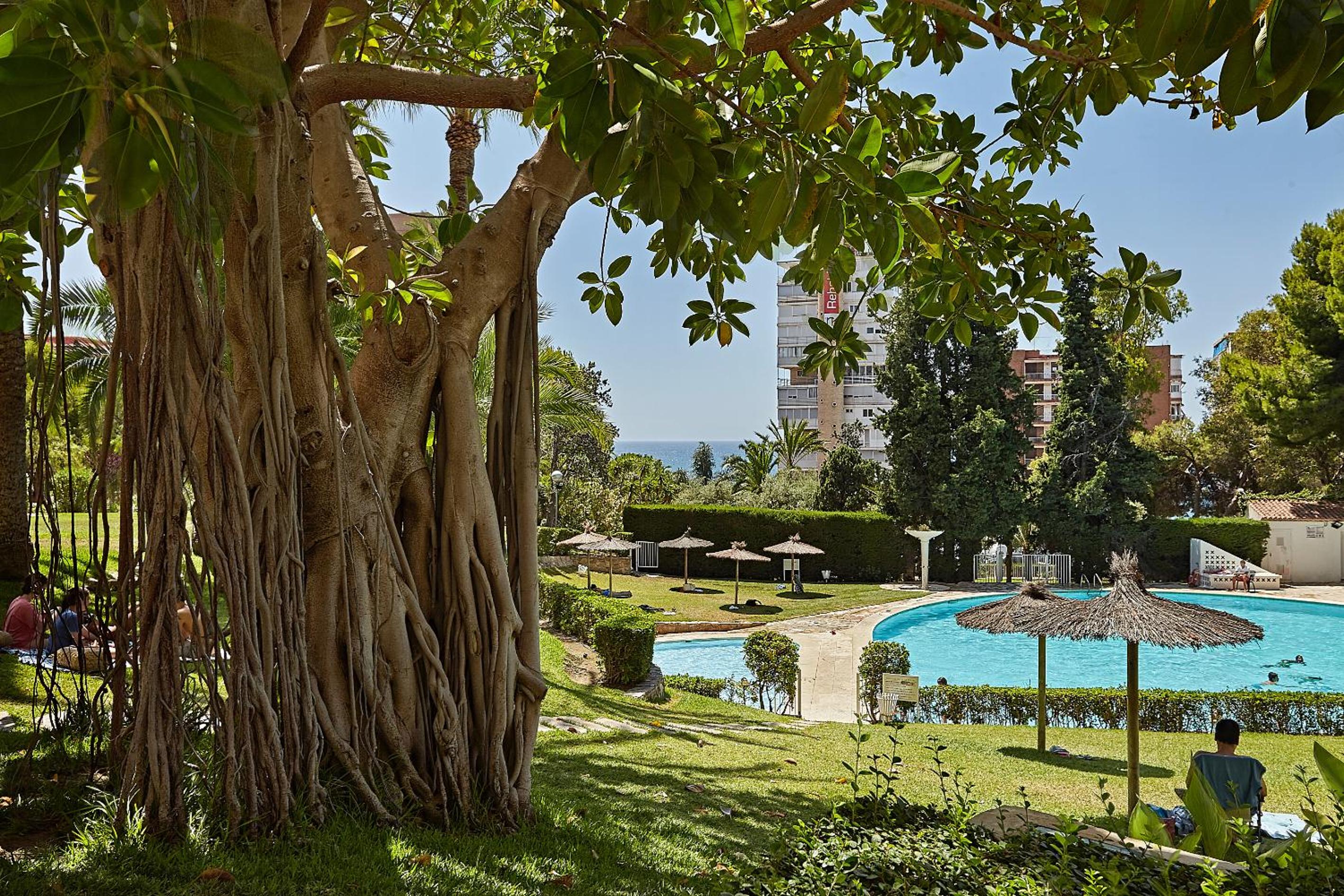 Coqueto Apartmento con vistas al mar view 3
