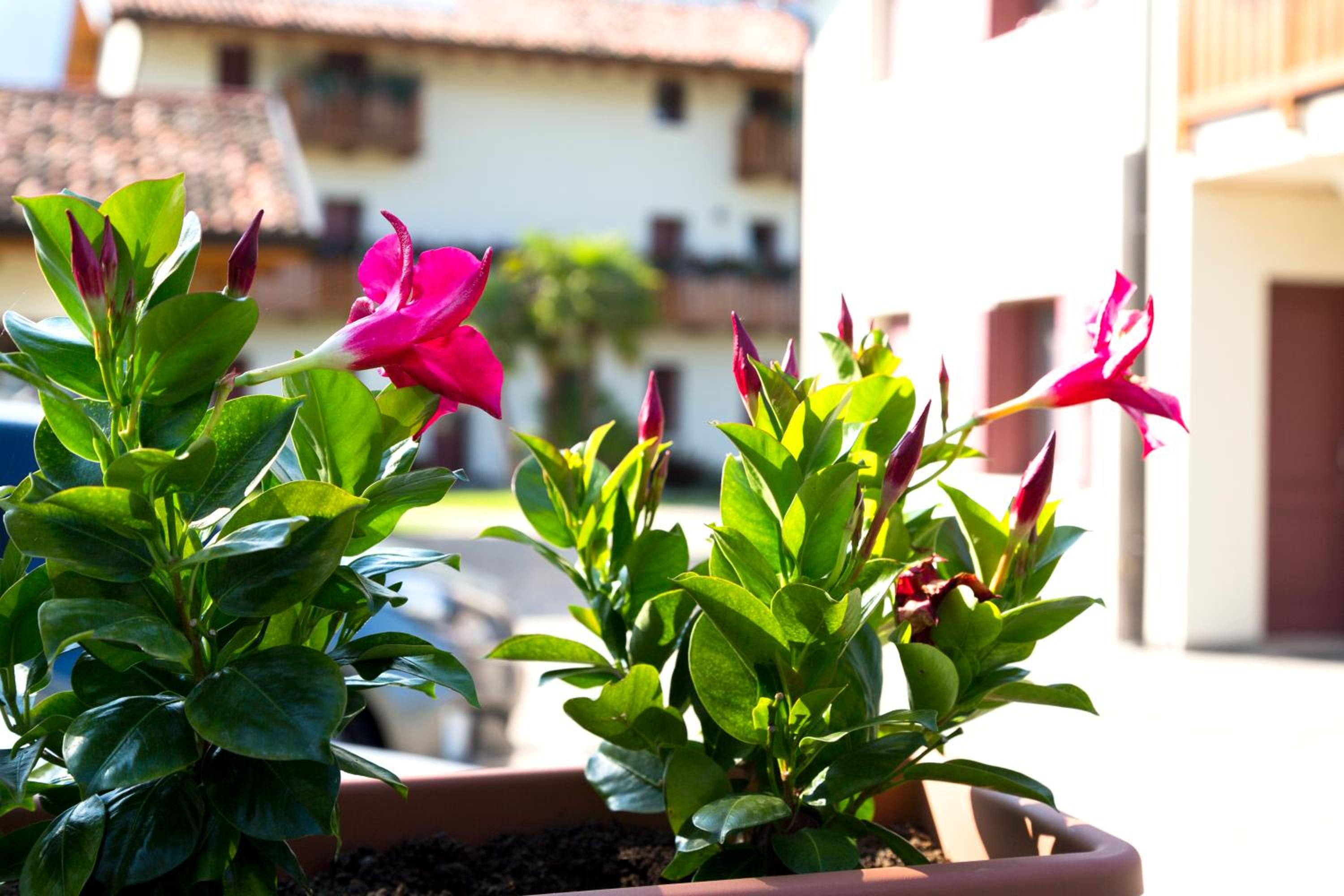 Albergo Diffuso Polcenigo B.Vittorio view 4