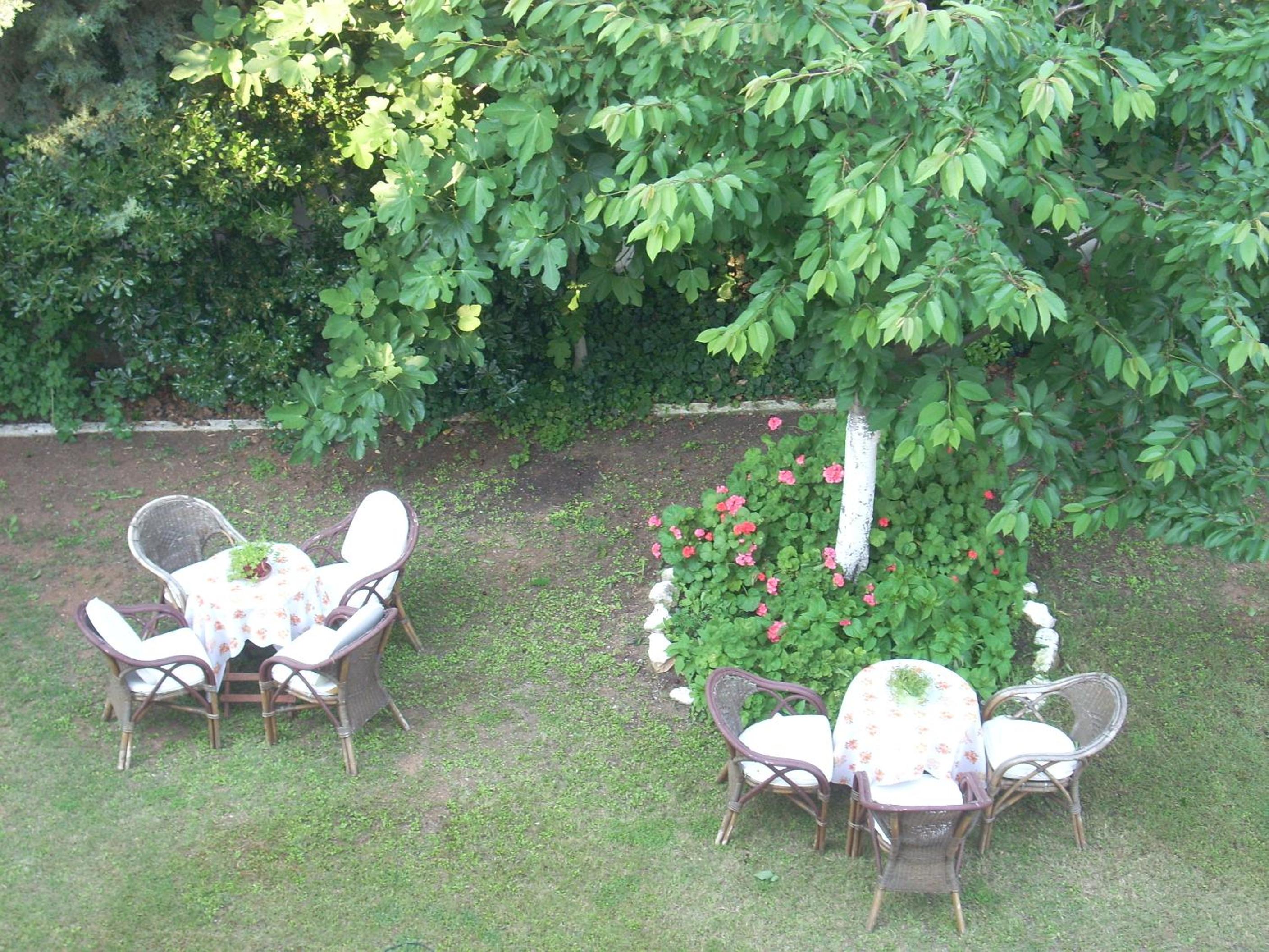 Photo 50