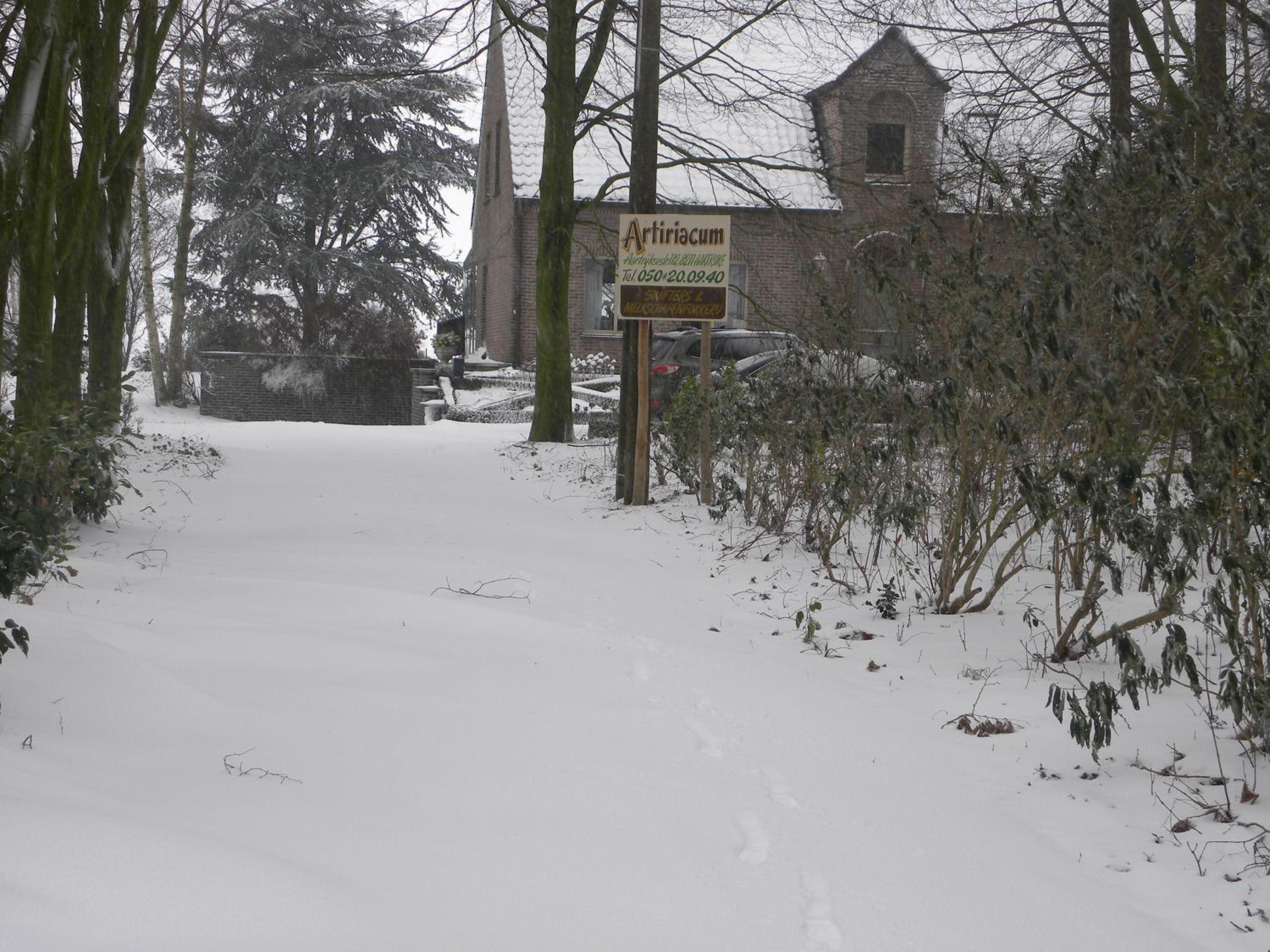B&B Artiriacumhoeve