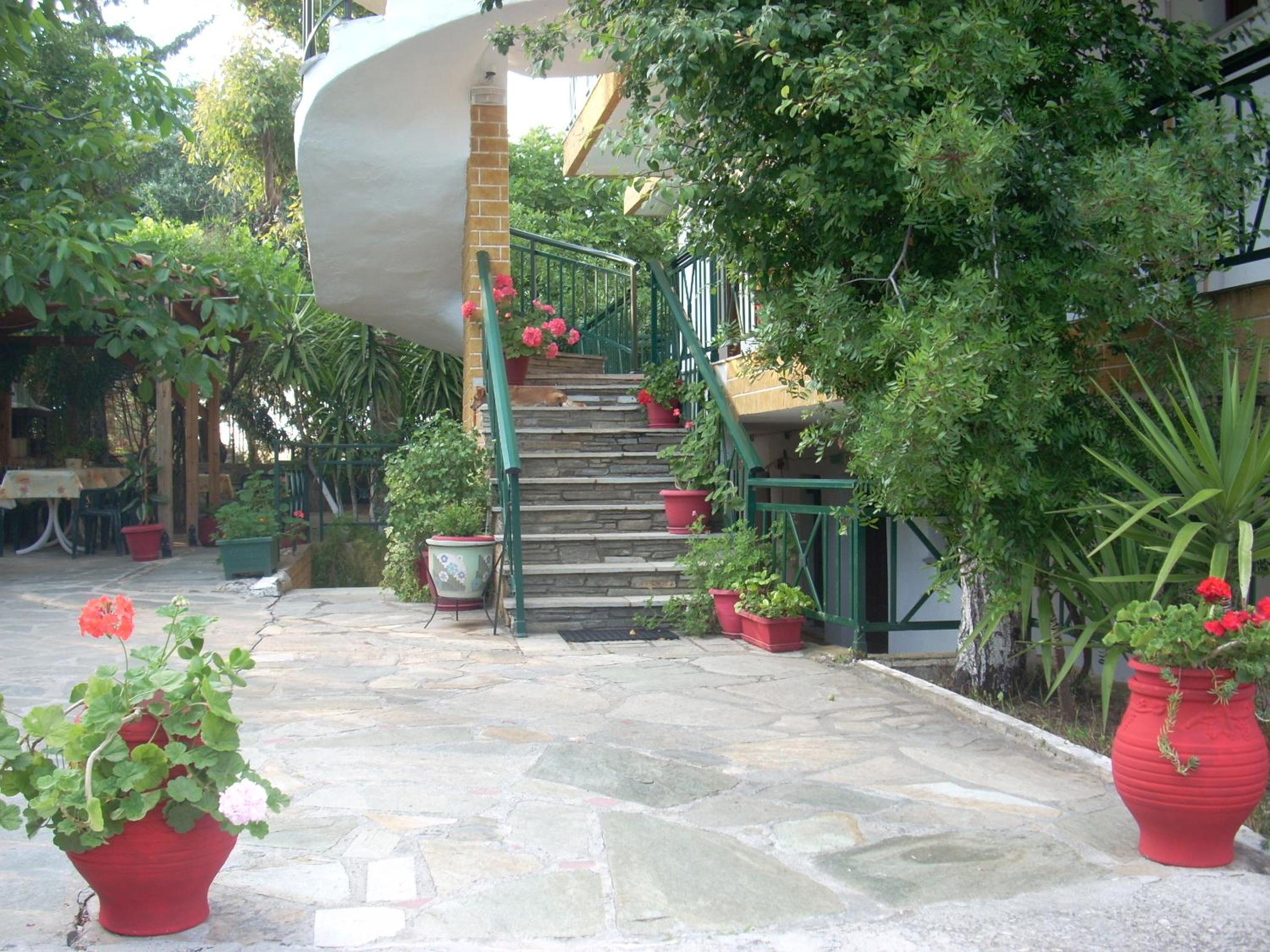 Photo 51