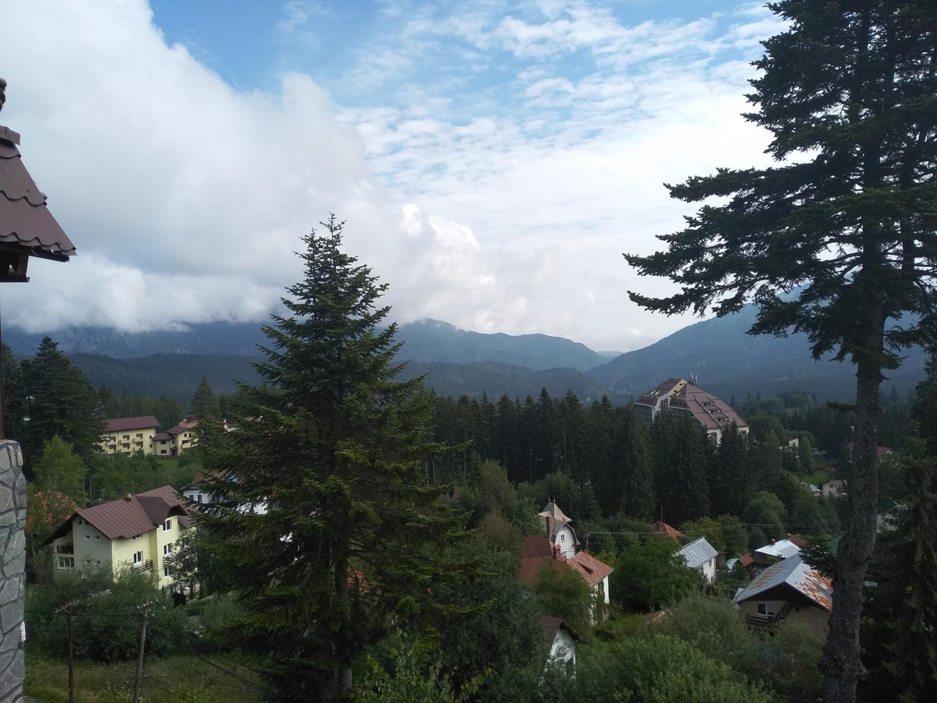 Pensiune turistica Milcov-VLADET view 2