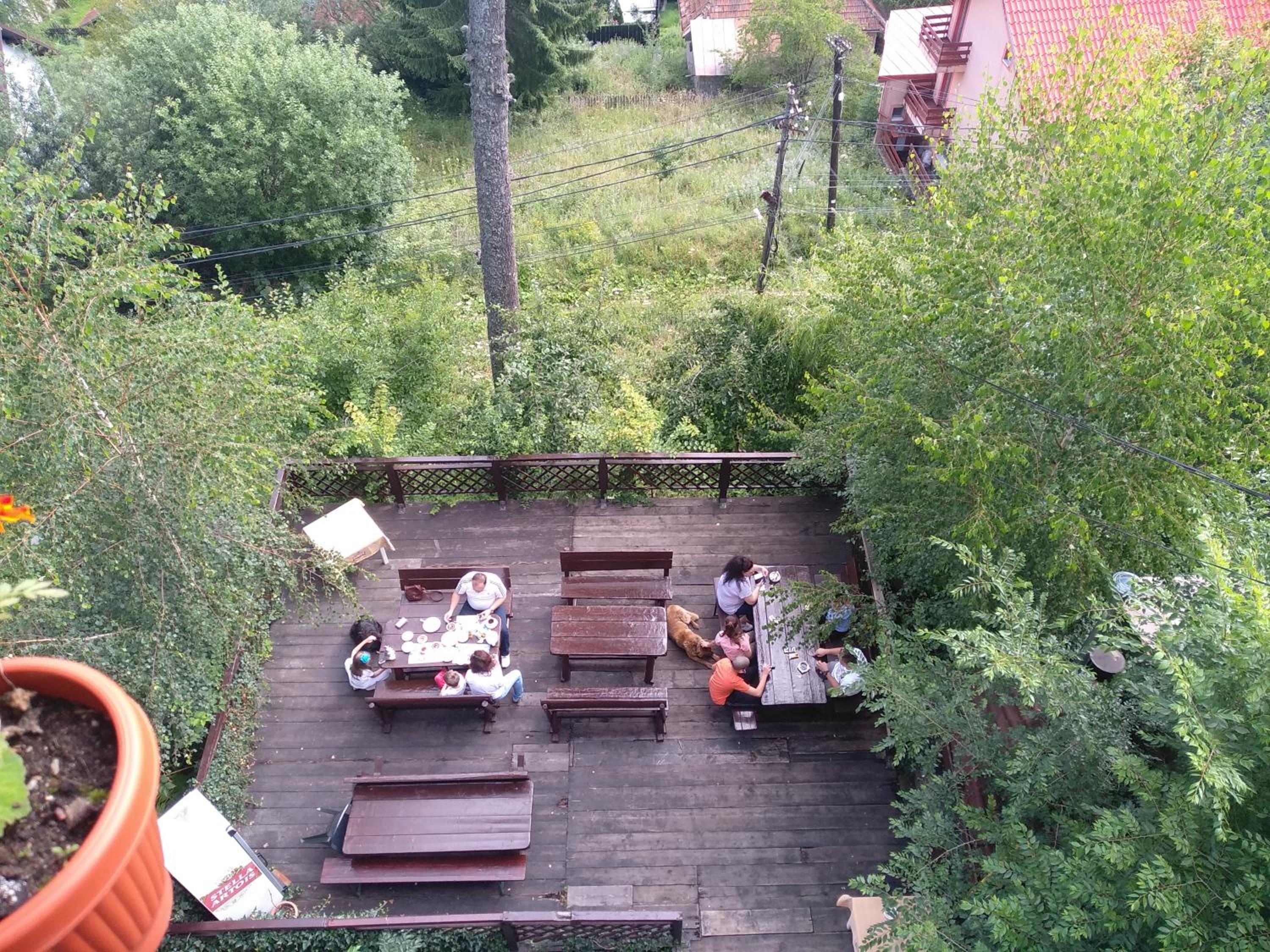Pensiune turistica Milcov-VLADET view 5