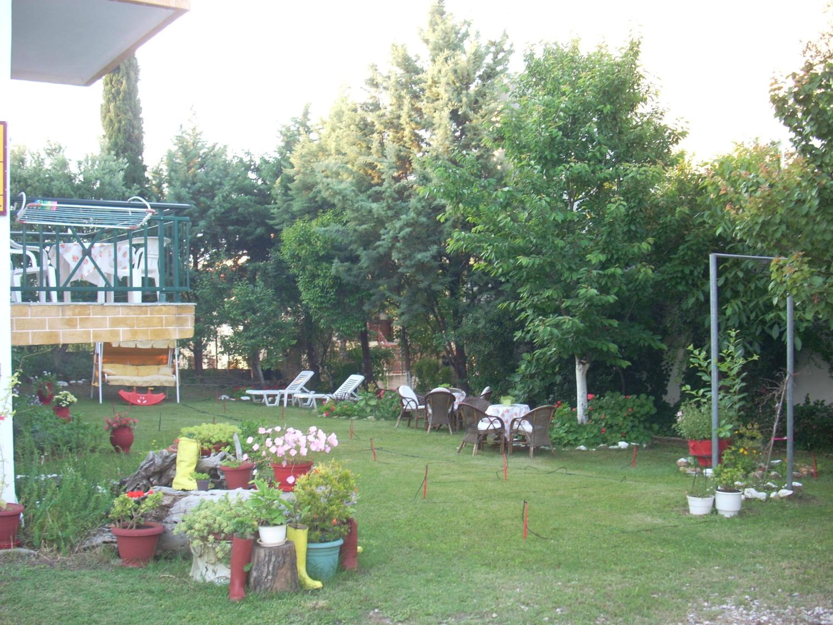 Photo 41