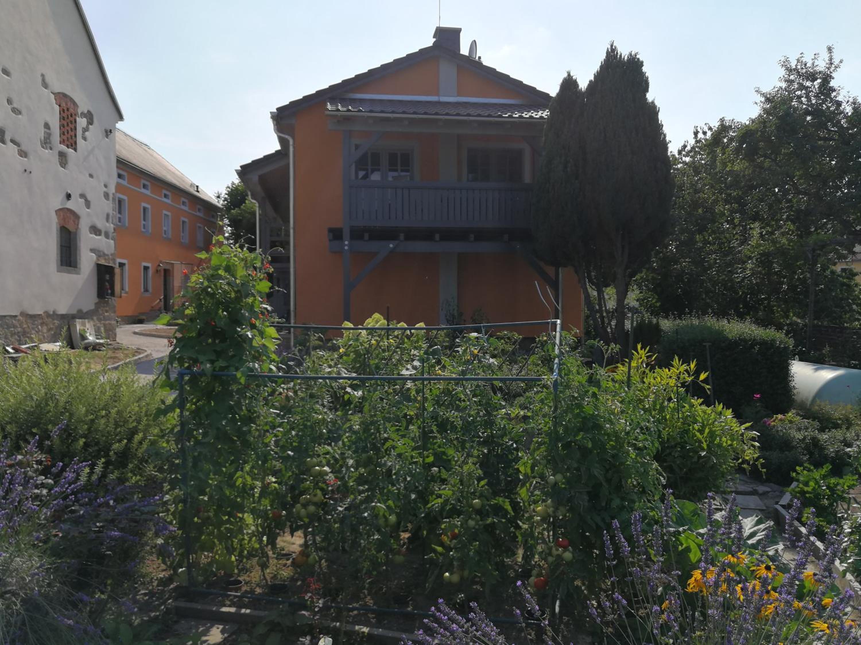 Photo 33