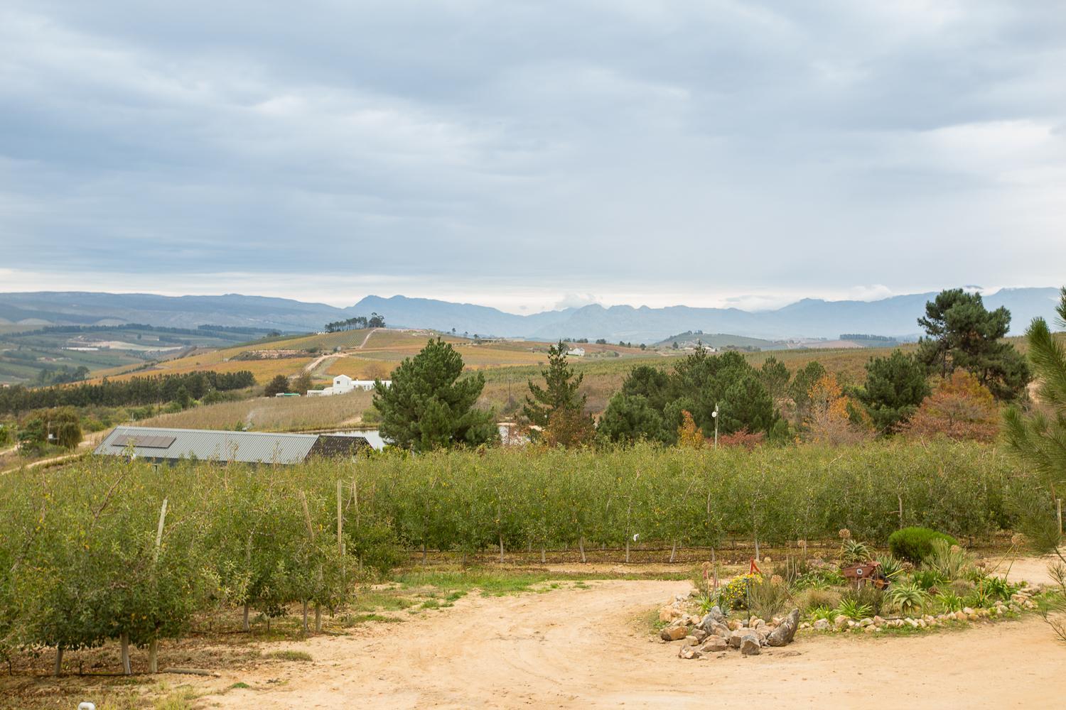 Photo 47