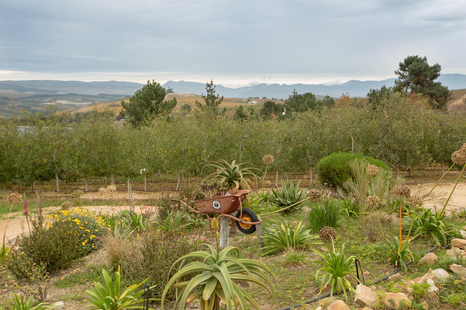 Photo 48