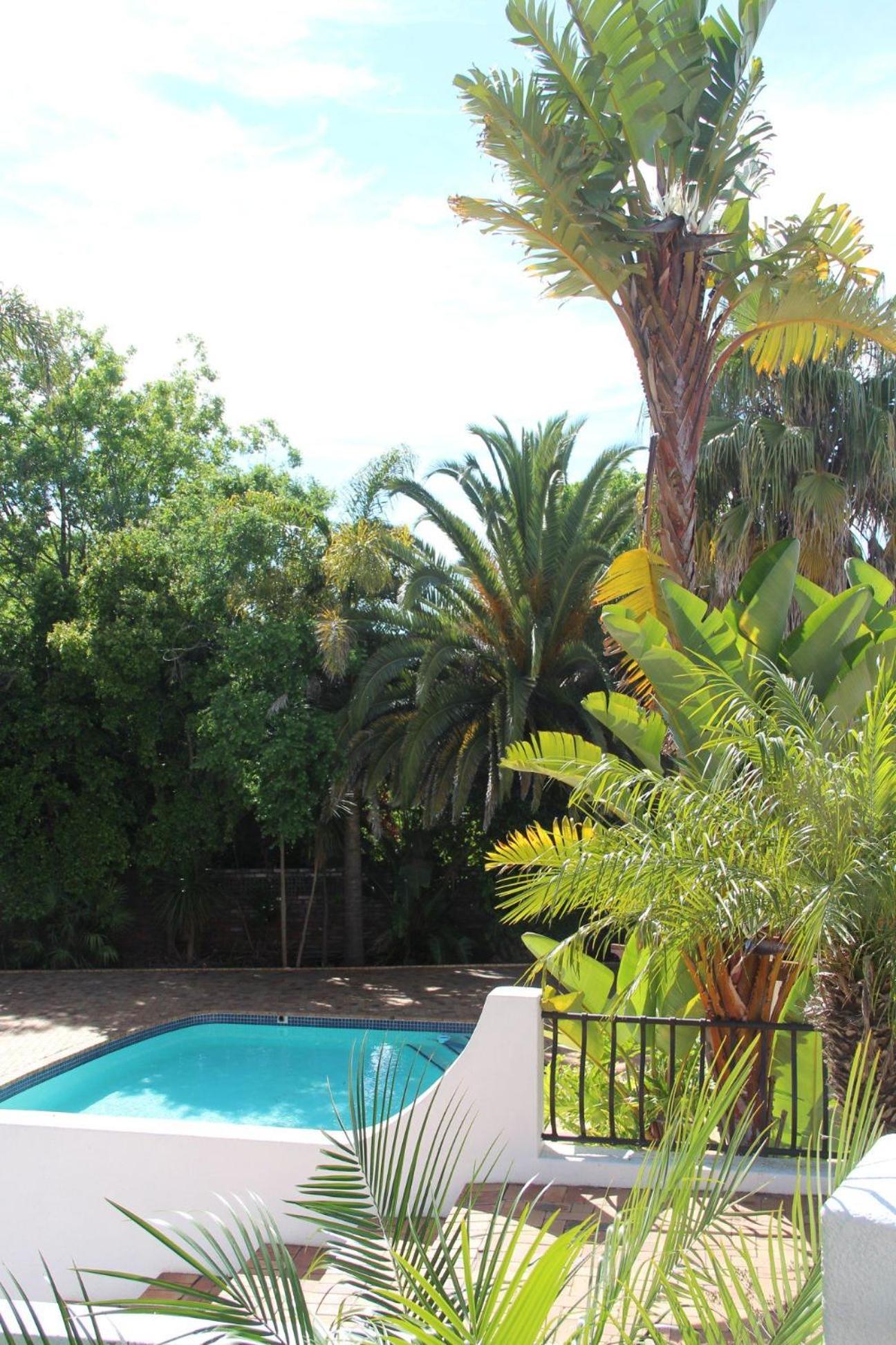Dark Chocolate Guest House view 5