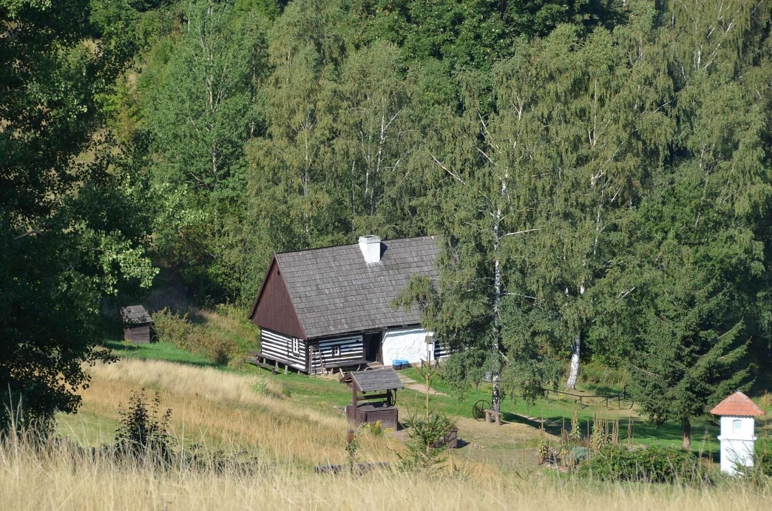Photo 25