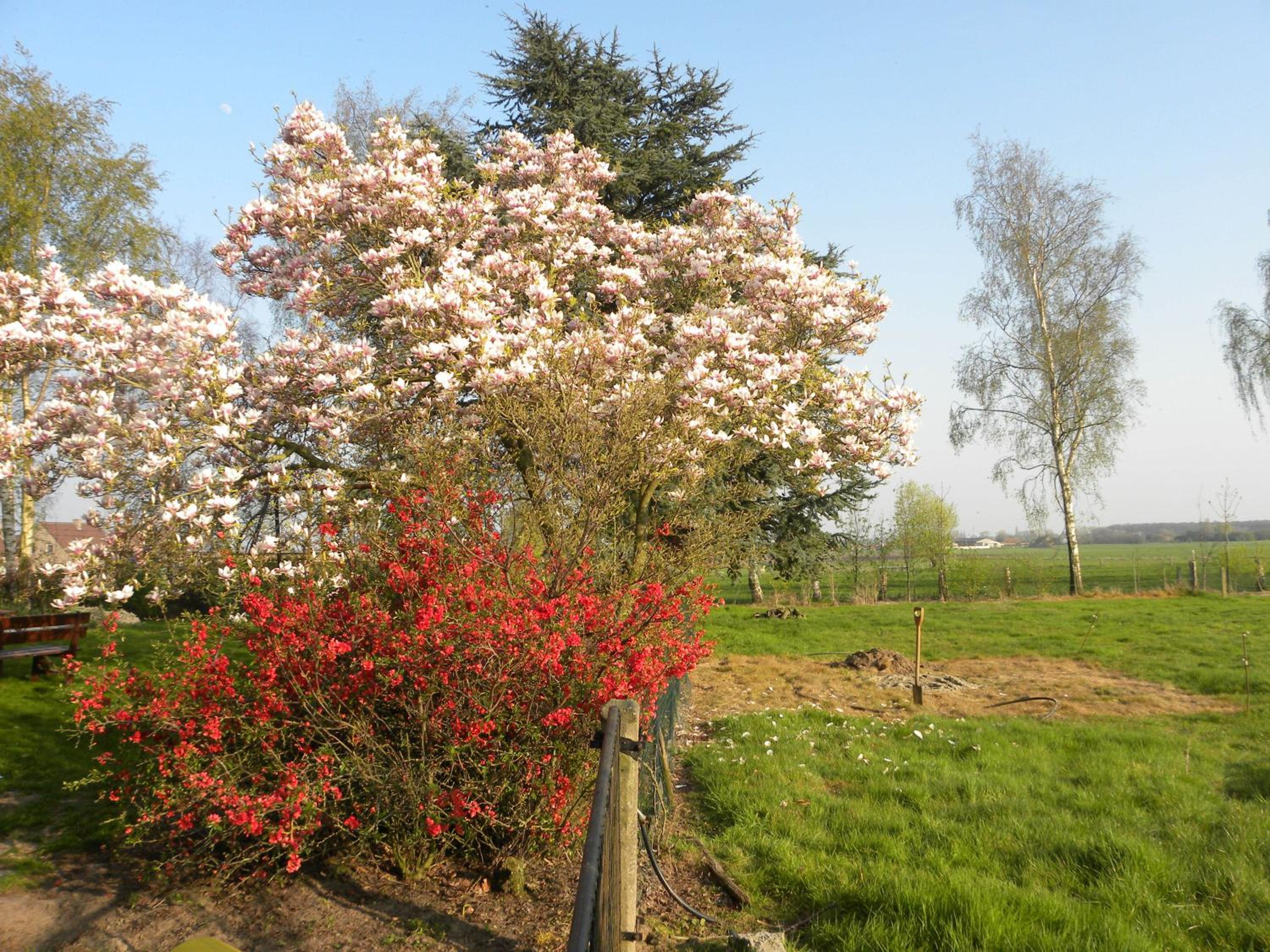 B&B Artiriacumhoeve