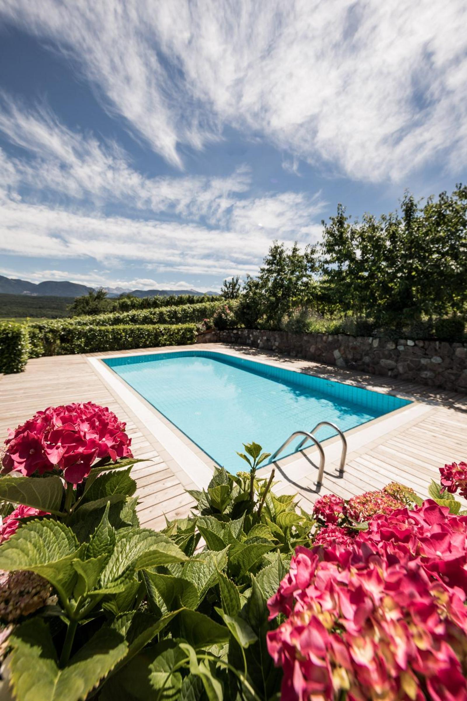 Weingut Weidlhof - Suite & Breakfast - Vacation for wine lovers view 4