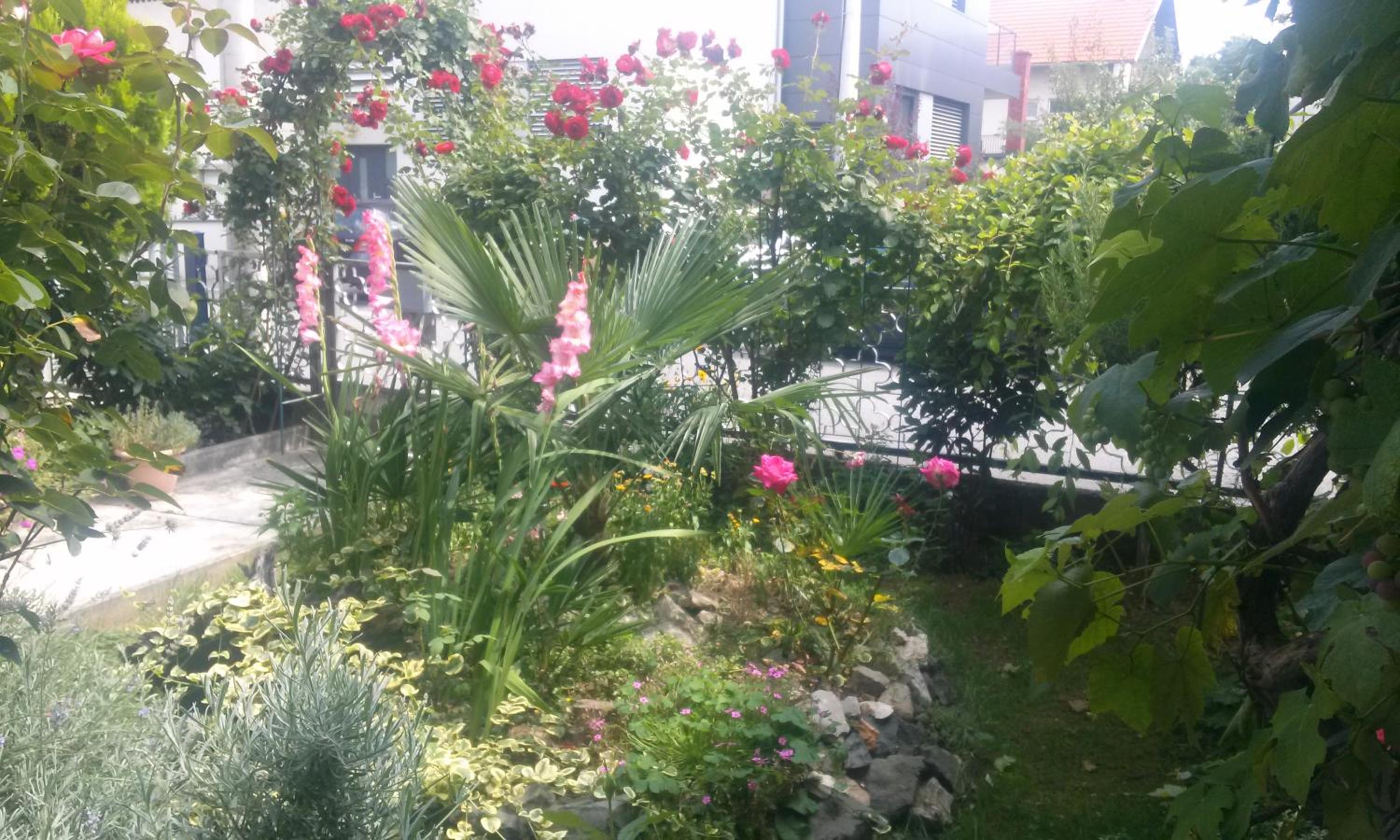 Apartman Teuta Zagreb