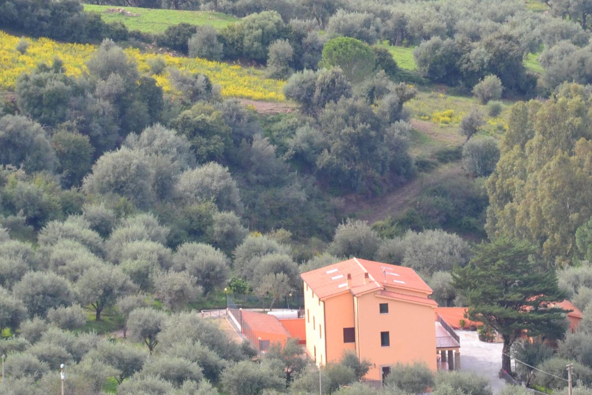 Photo 42