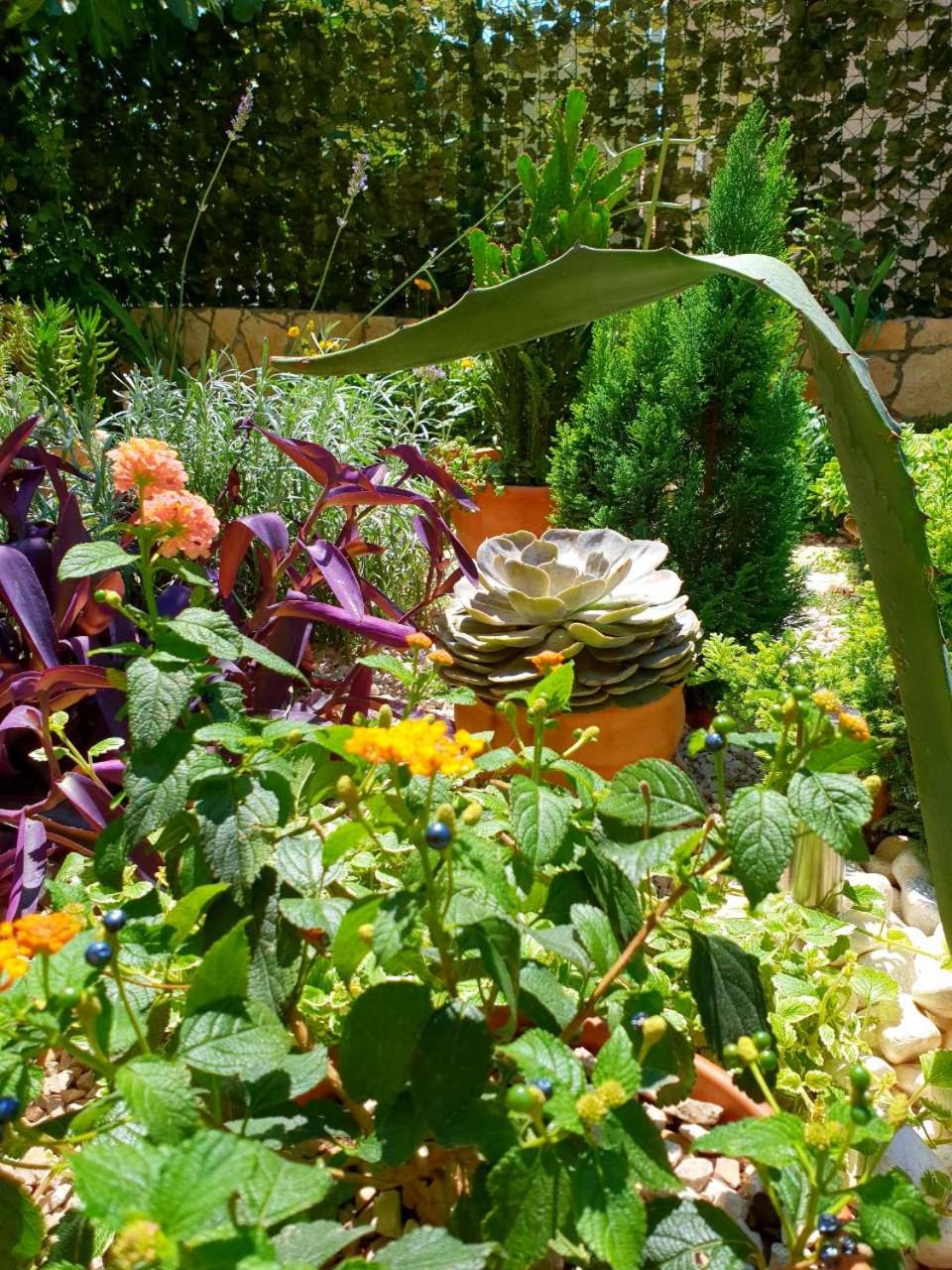 Photo 63