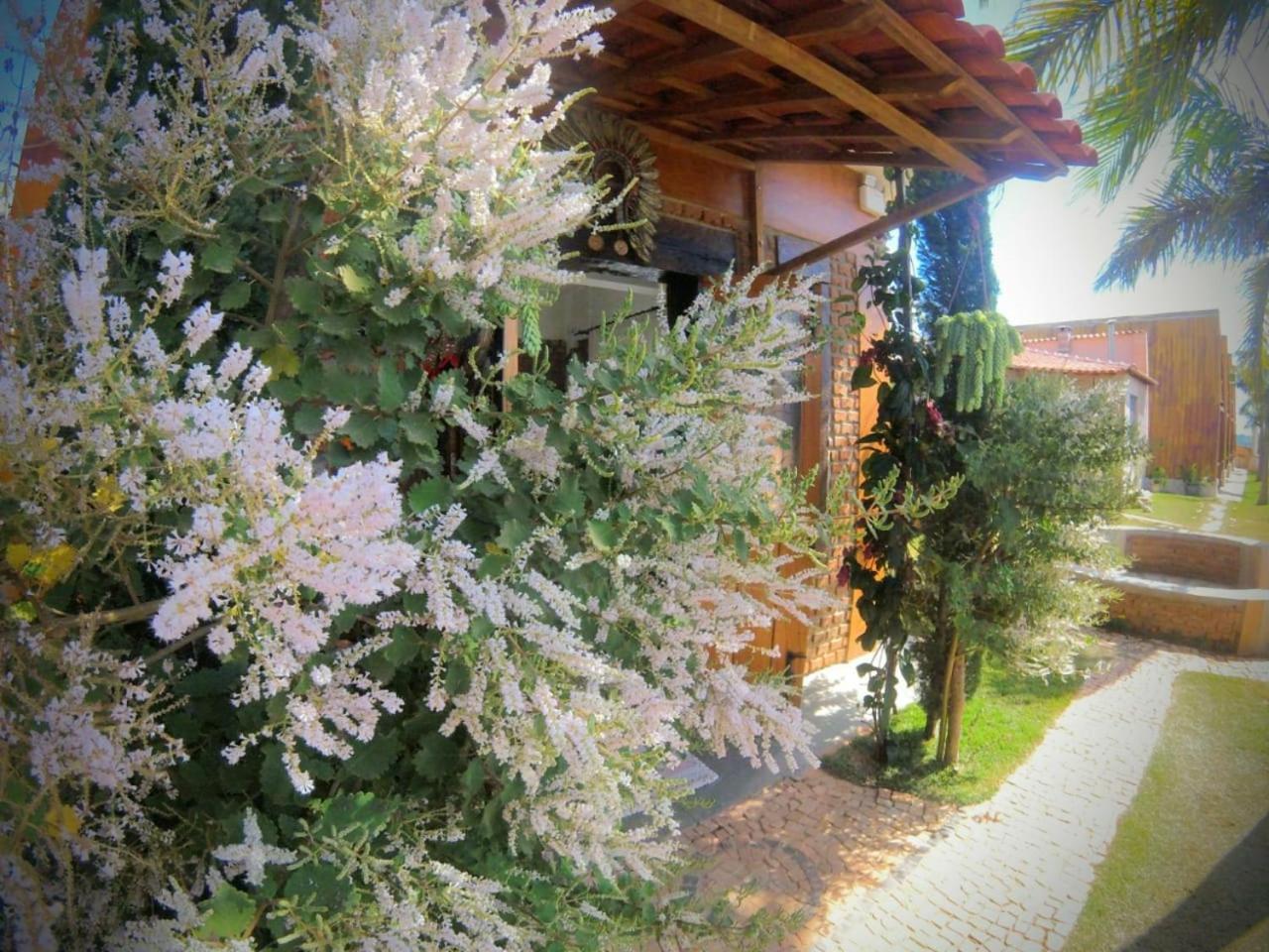 Photo 36