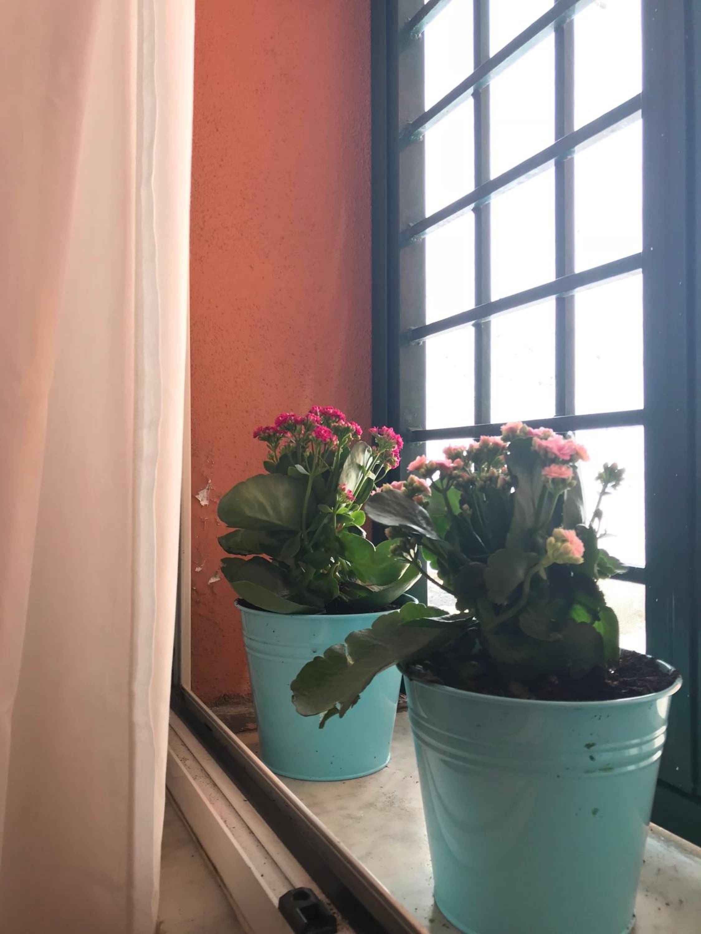 La Casa del Fotografo