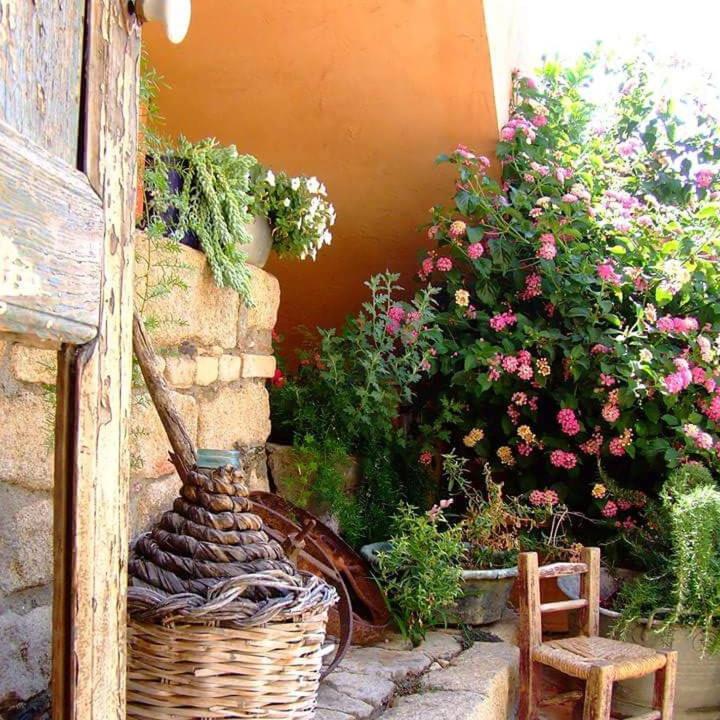 B&B Sa Specula IUN E4404 view 2