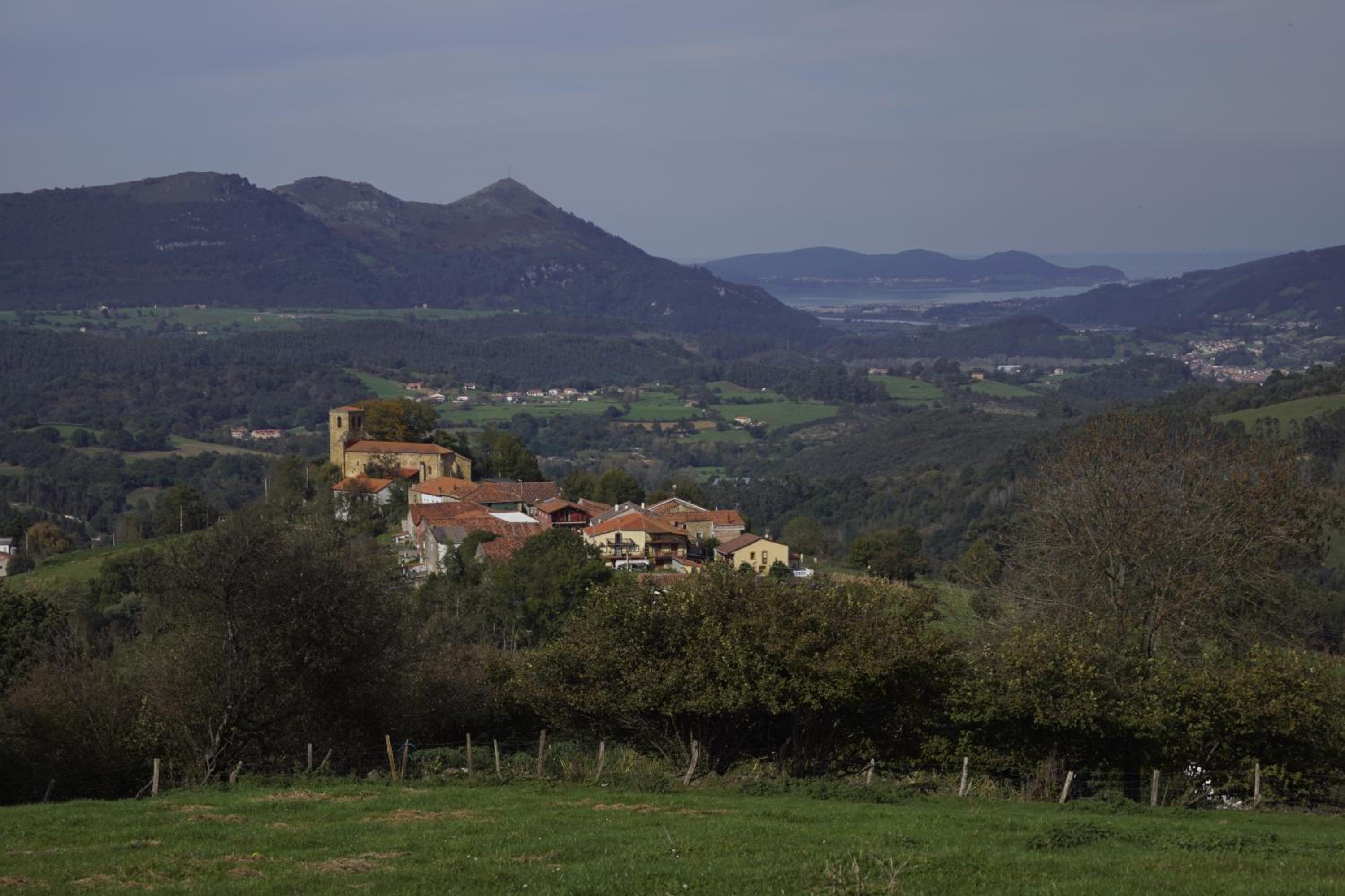 Photo 41