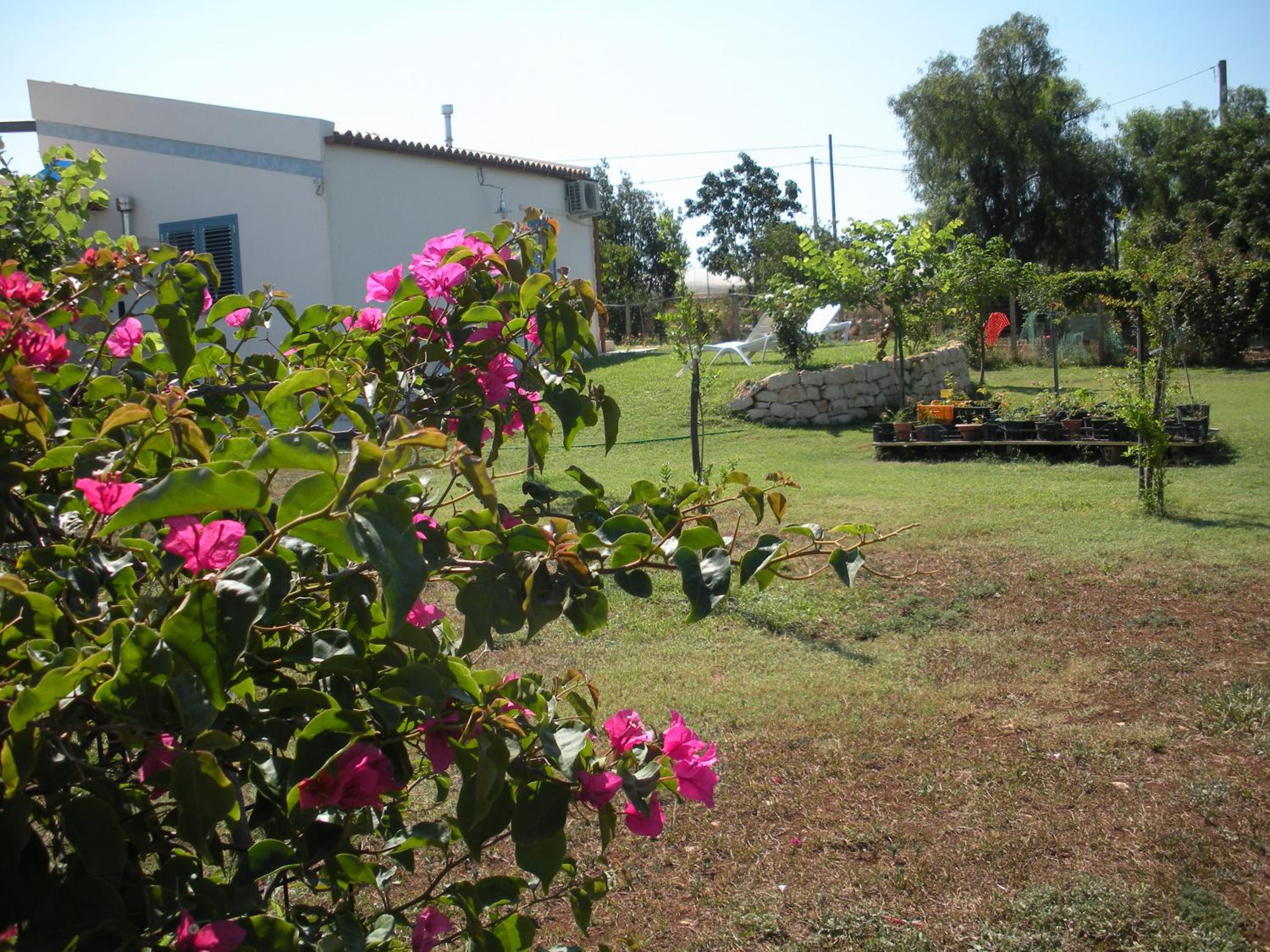 Photo 43