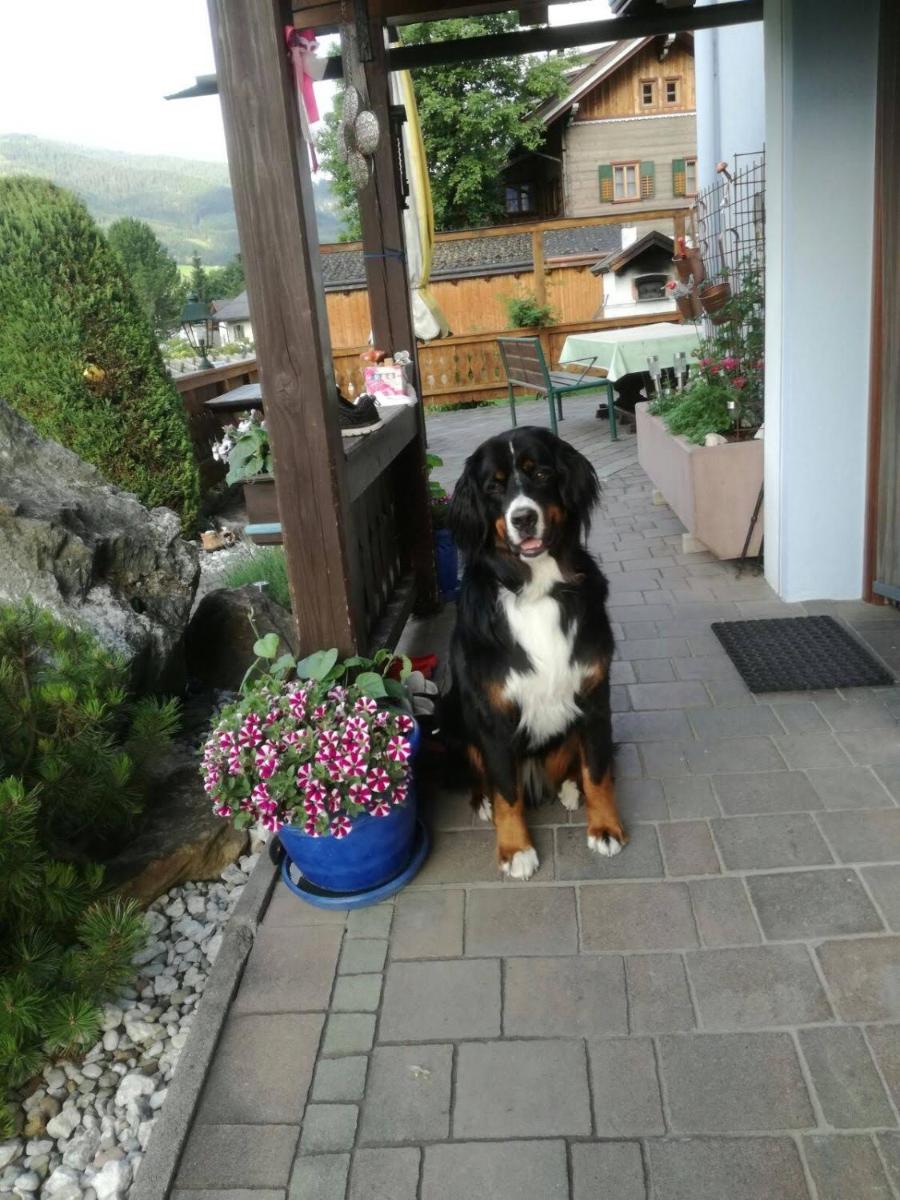 Pension Rieder