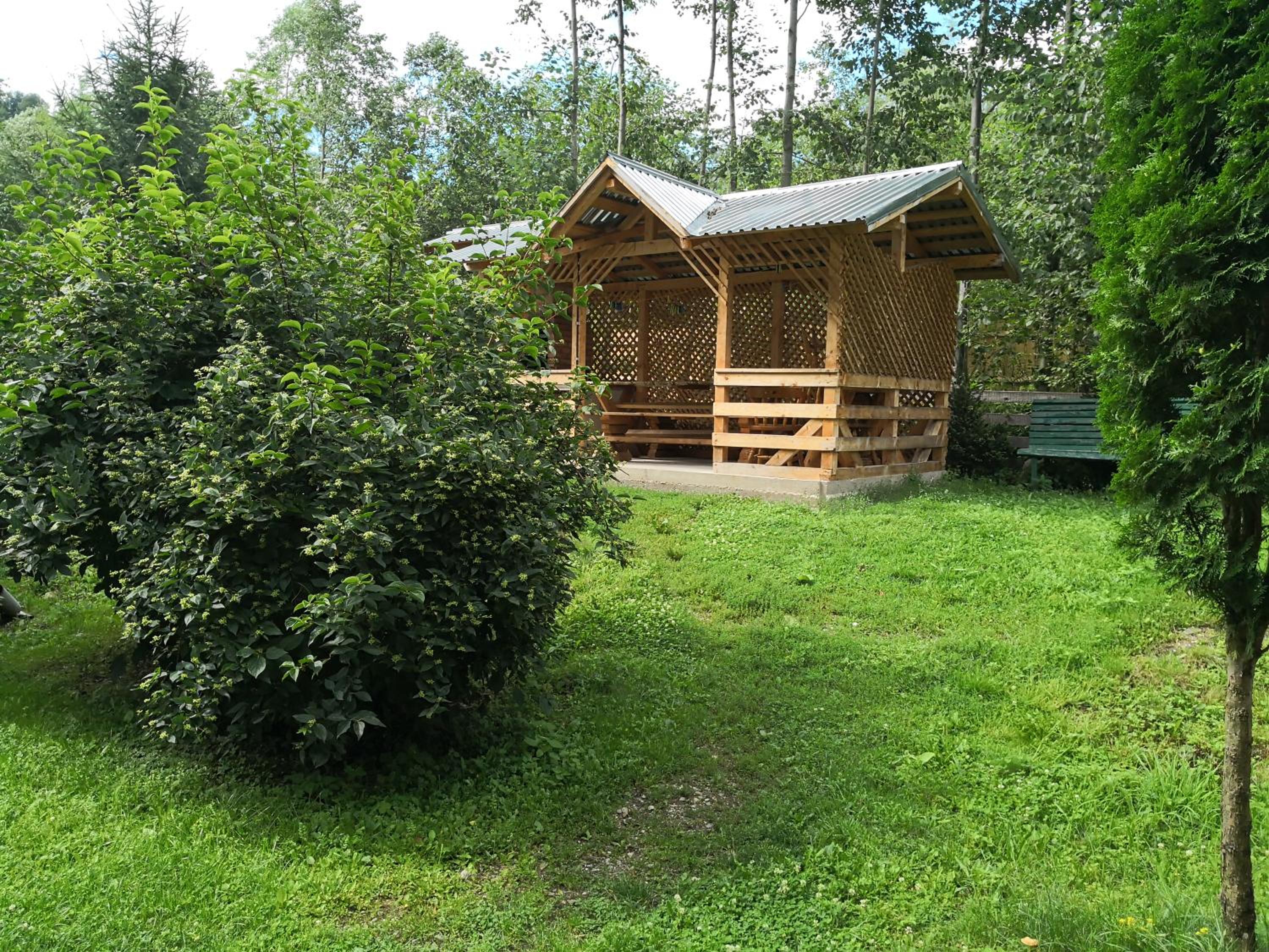 Photo 15