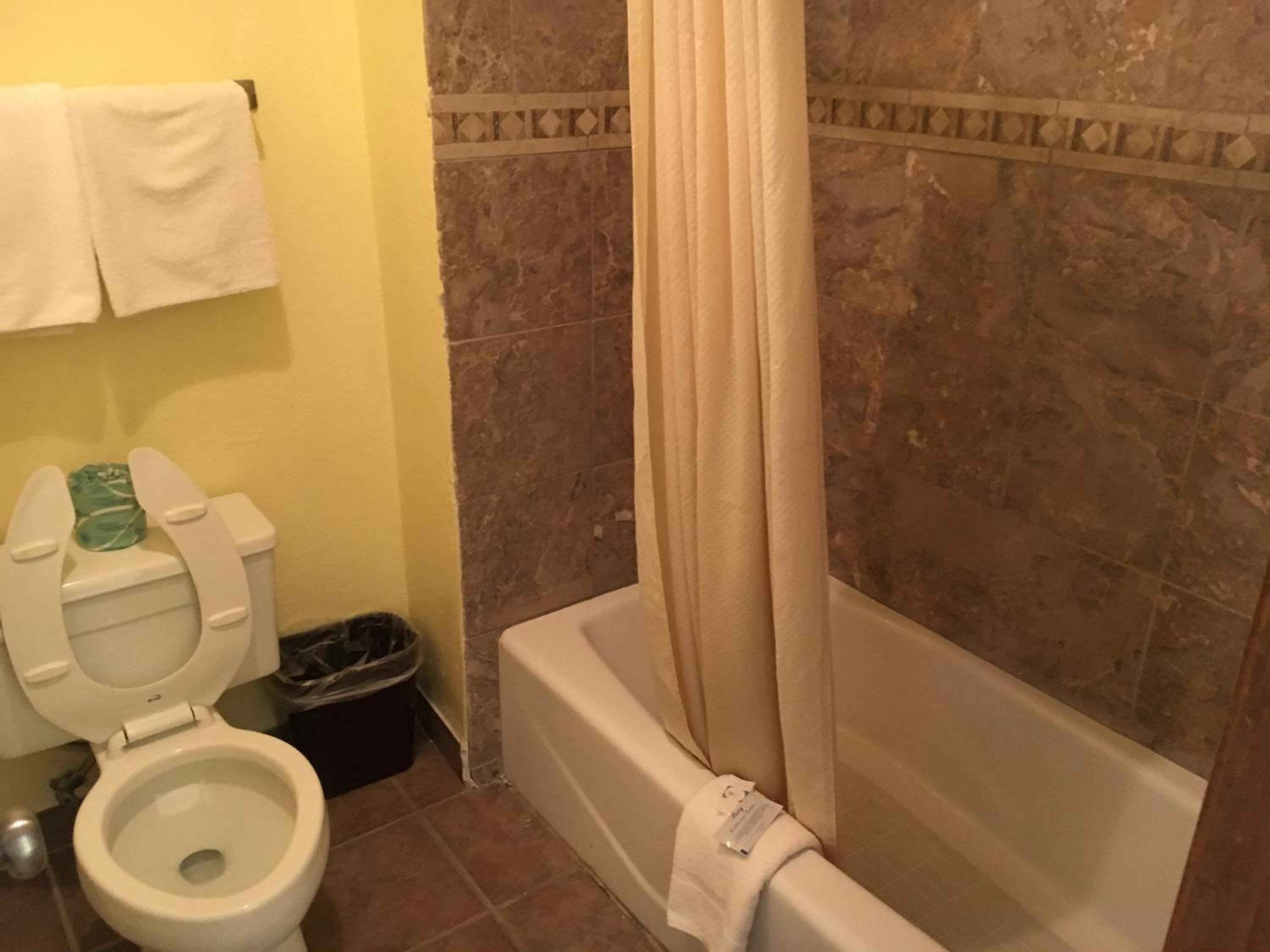 Executive Inn Odessa view 4
