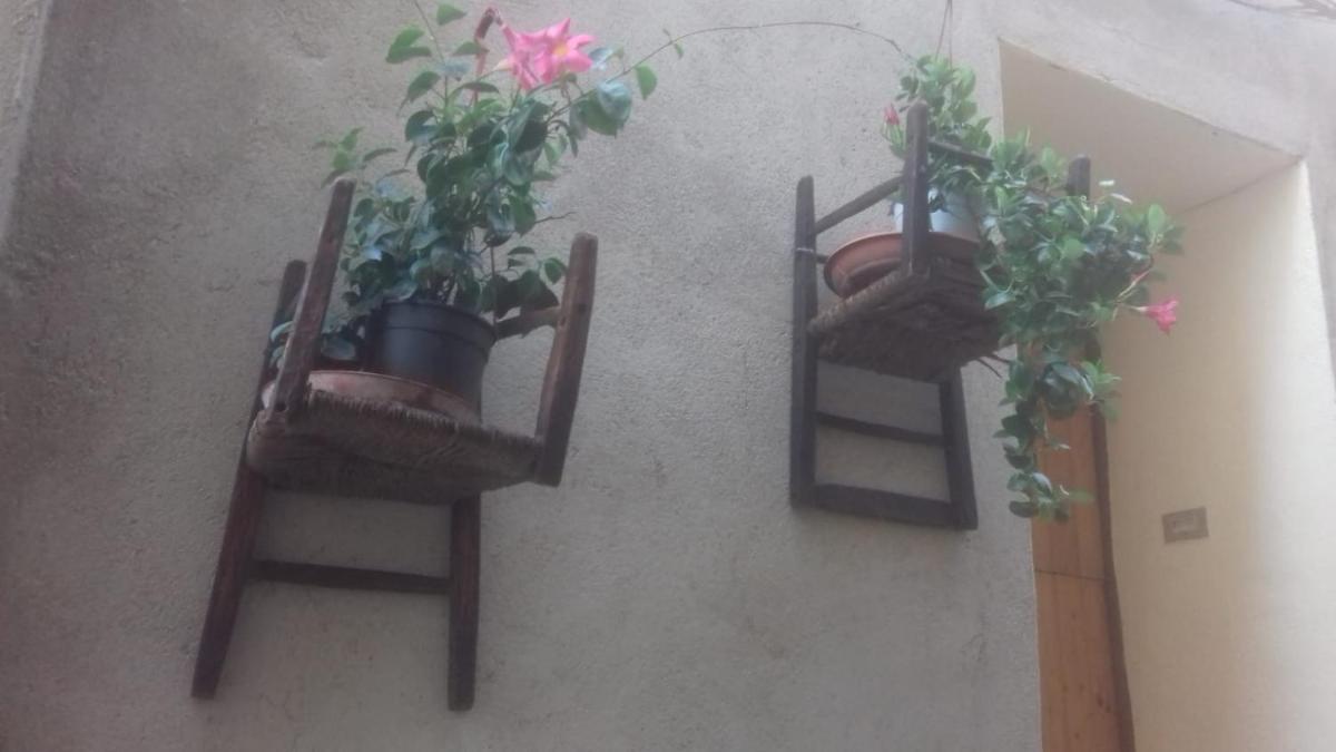Photo 57