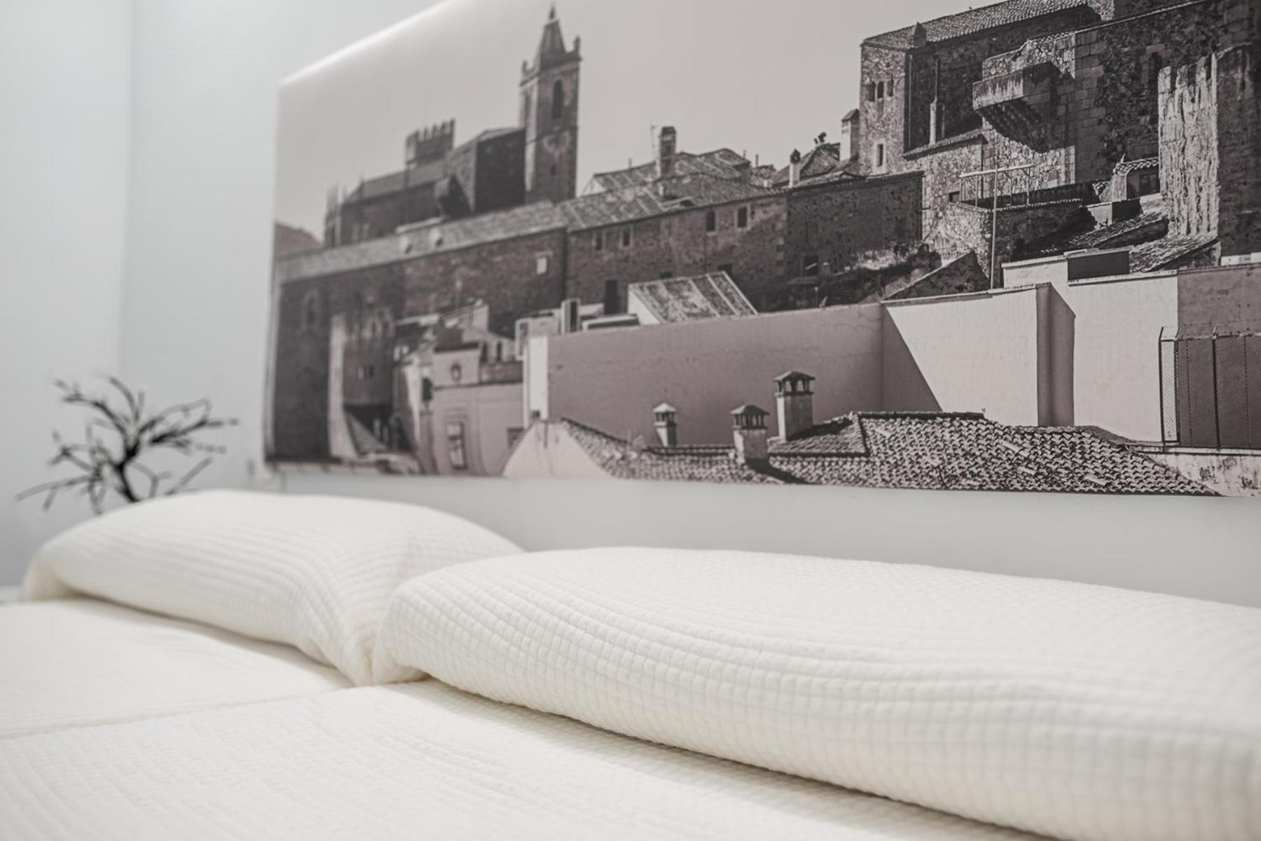 Apartamentos Turísticos Domus Seleqtia Plaza Mayor