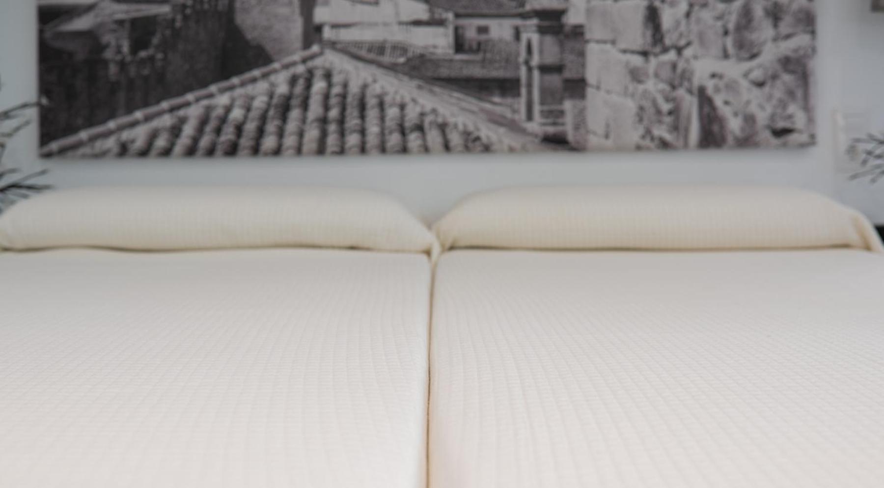 Apartamentos Turísticos Domus Seleqtia Plaza Mayor