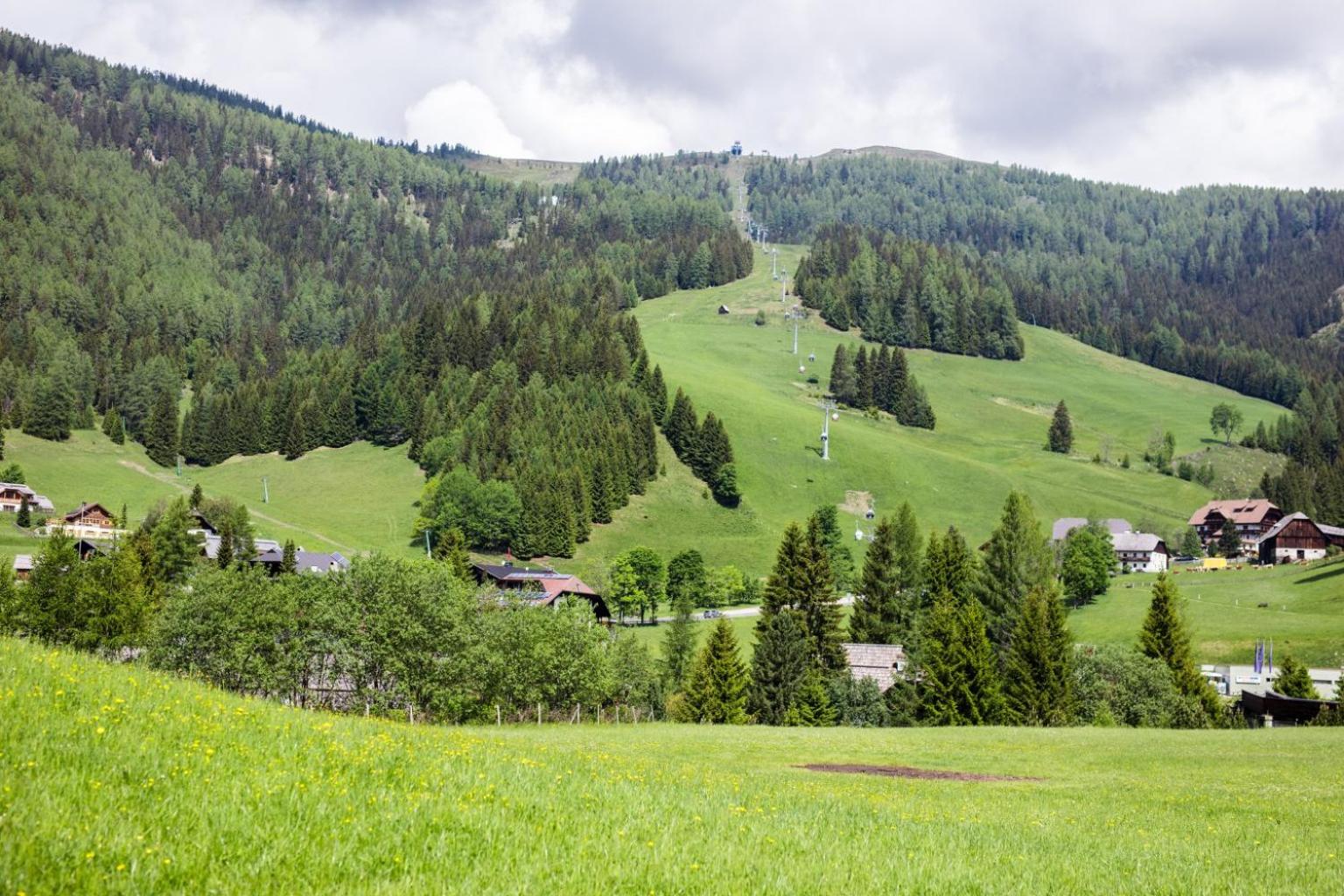 Der Hoferbauer