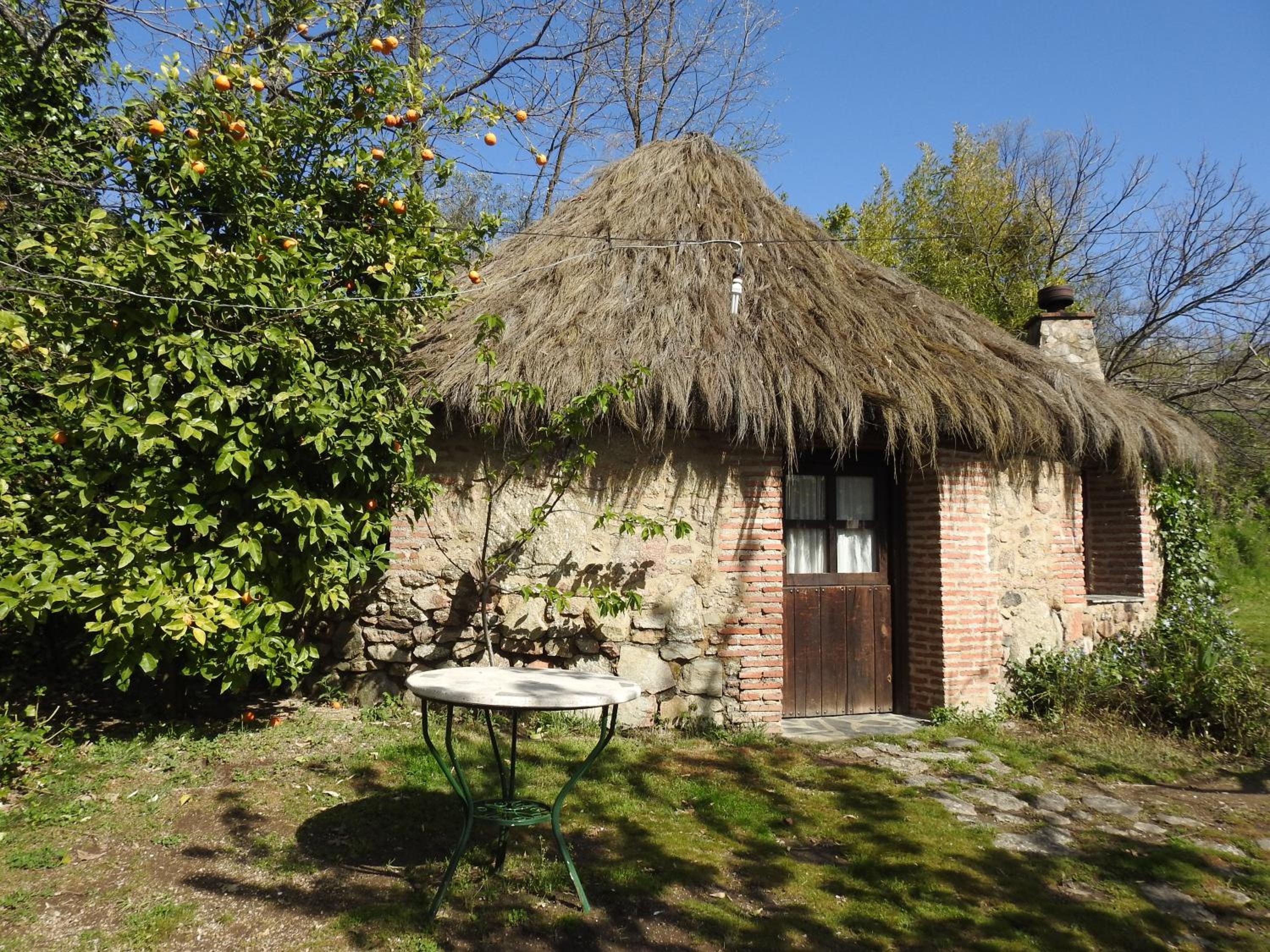 other