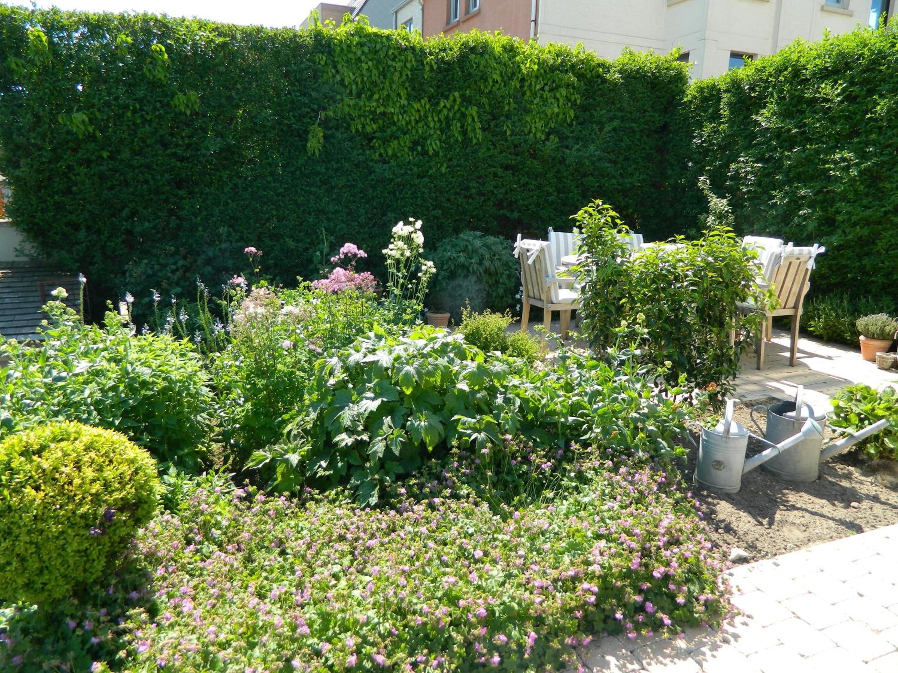 Bed & Breakfast Het Zilte Zand - luxe ontbijt - gratis parking - Westende Middelkerke